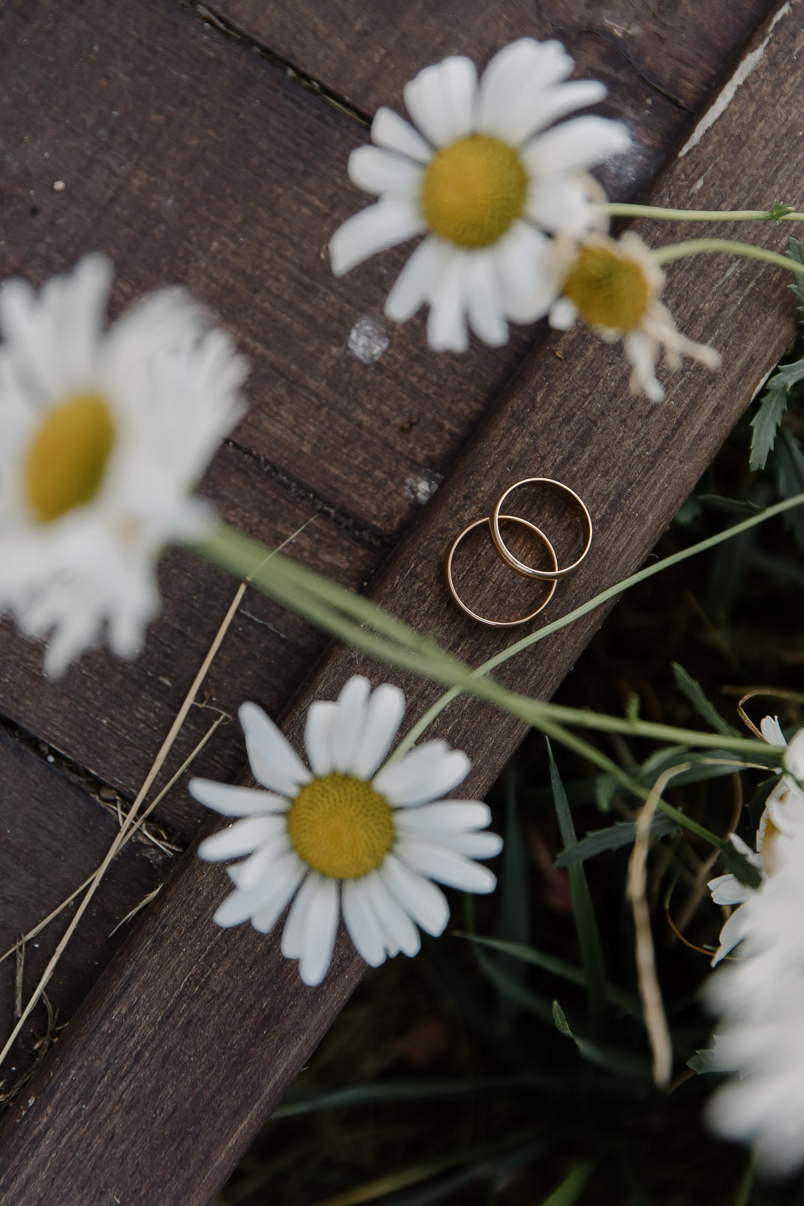 Ильмир и Катя. Свадебный и семейный фотограф в Набережных Челнах и Казани