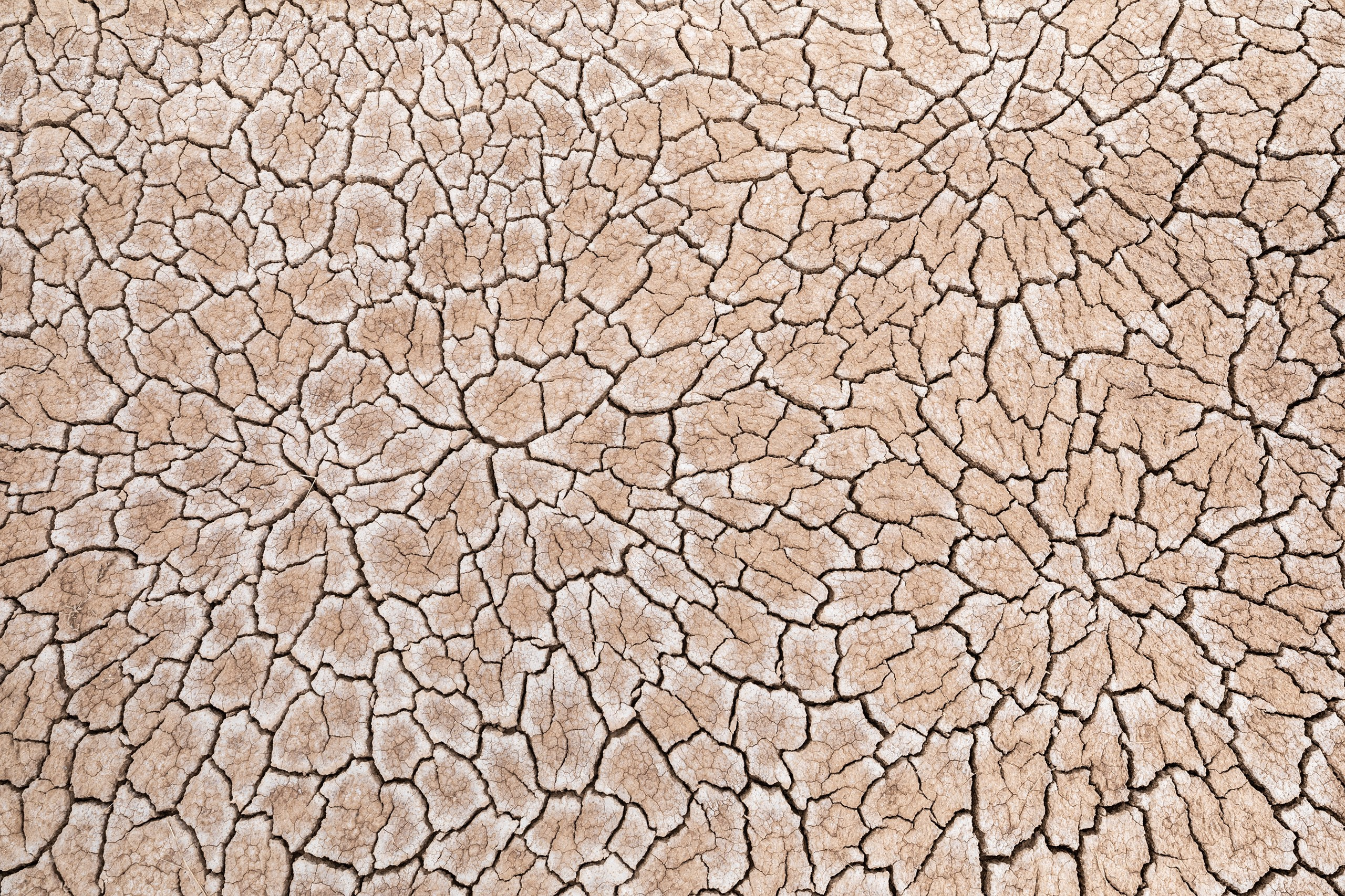 Озеро Эльтон. Фотограф Владимир Медведев