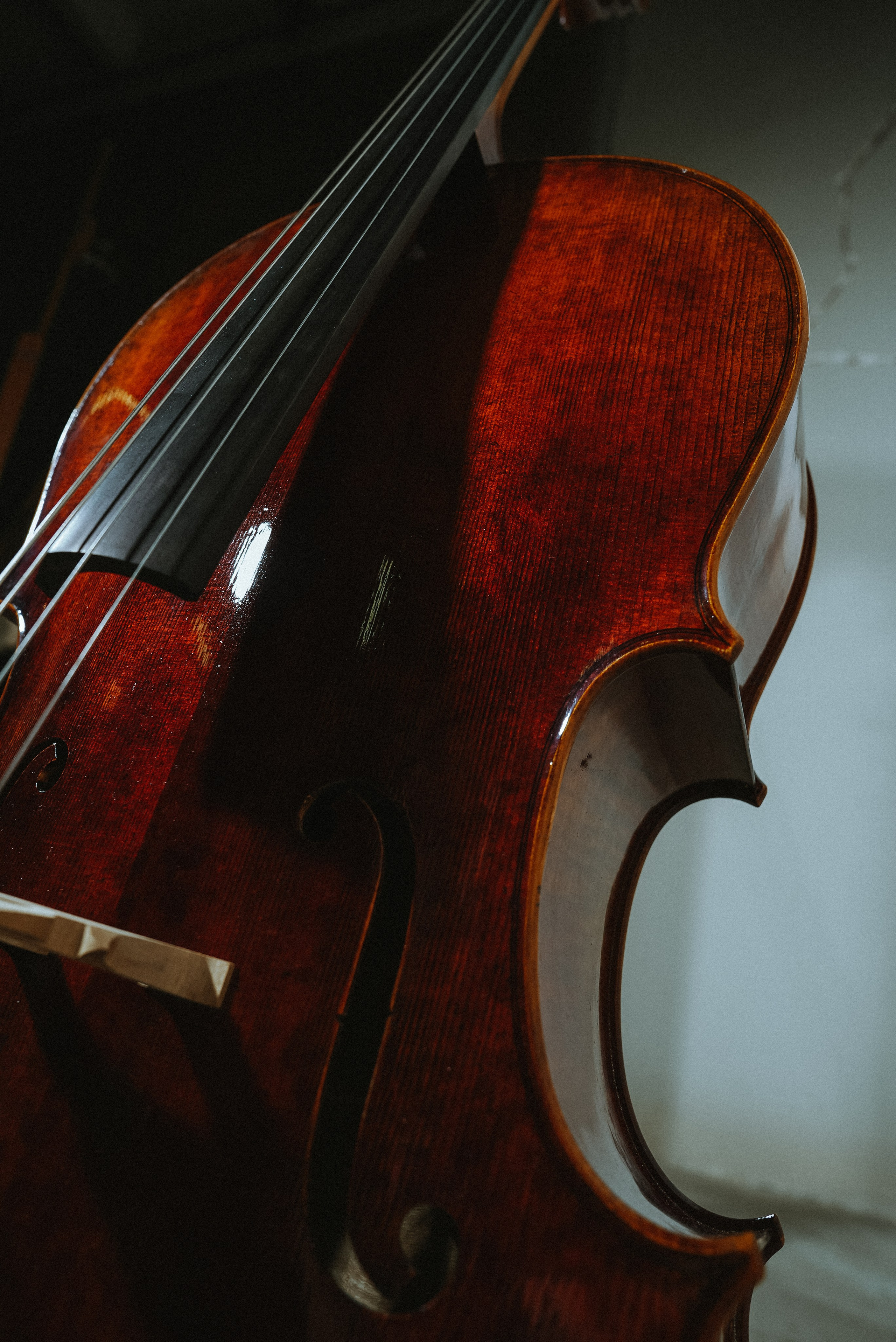 Виолончель | Предметка. ОЧЕНЬ ПЛОХОЙ ФОТОГРАФ