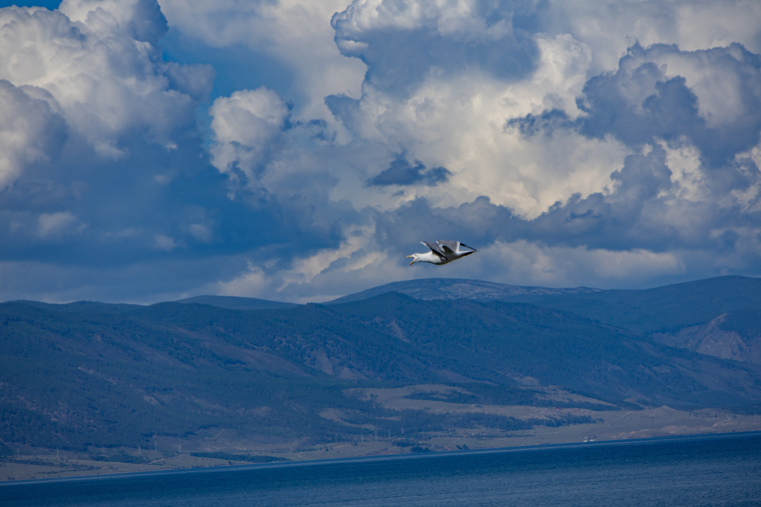 Байкал. Jean De Vivre Gallery