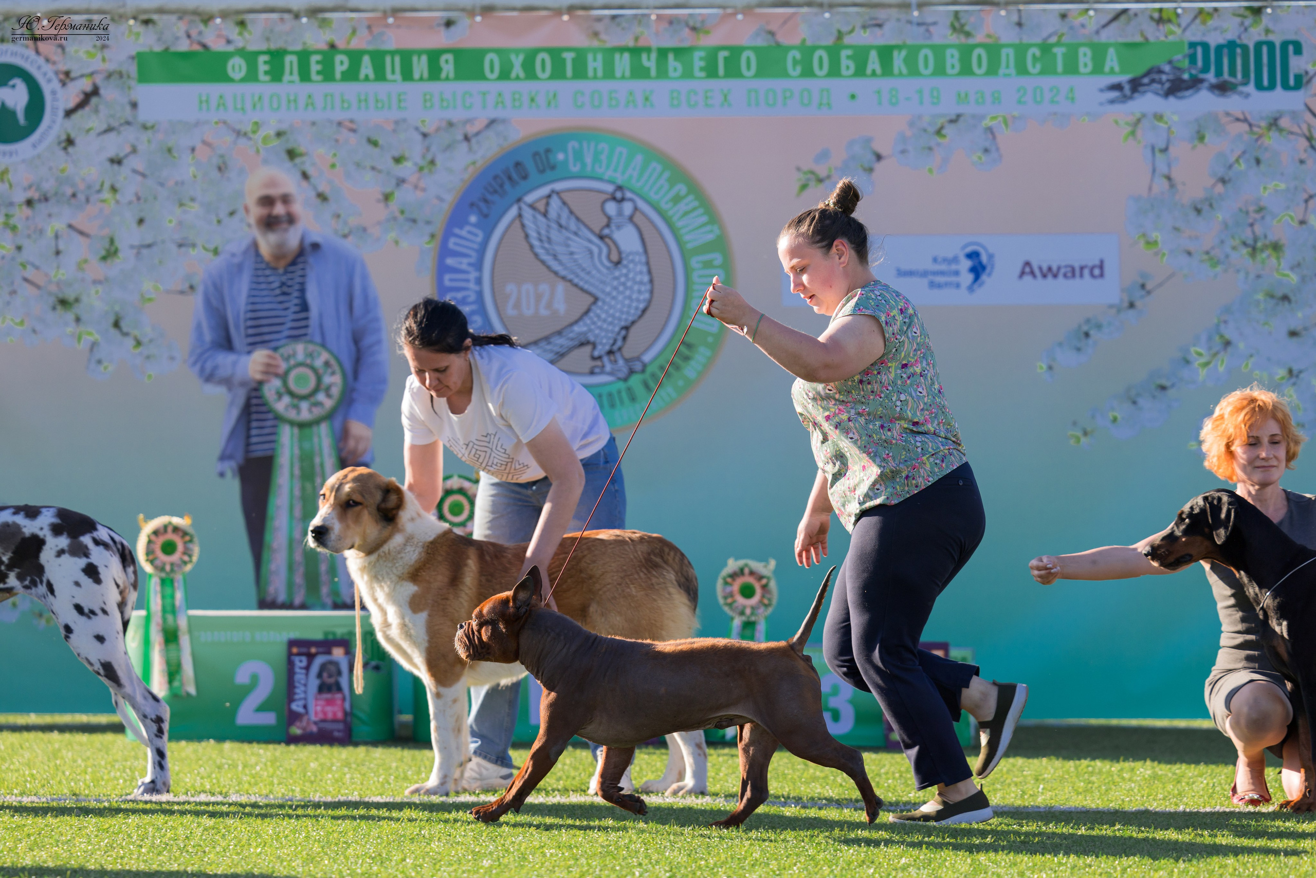Суздаль 18-19.05.2024. Фотограф-анималист Юлия Германика