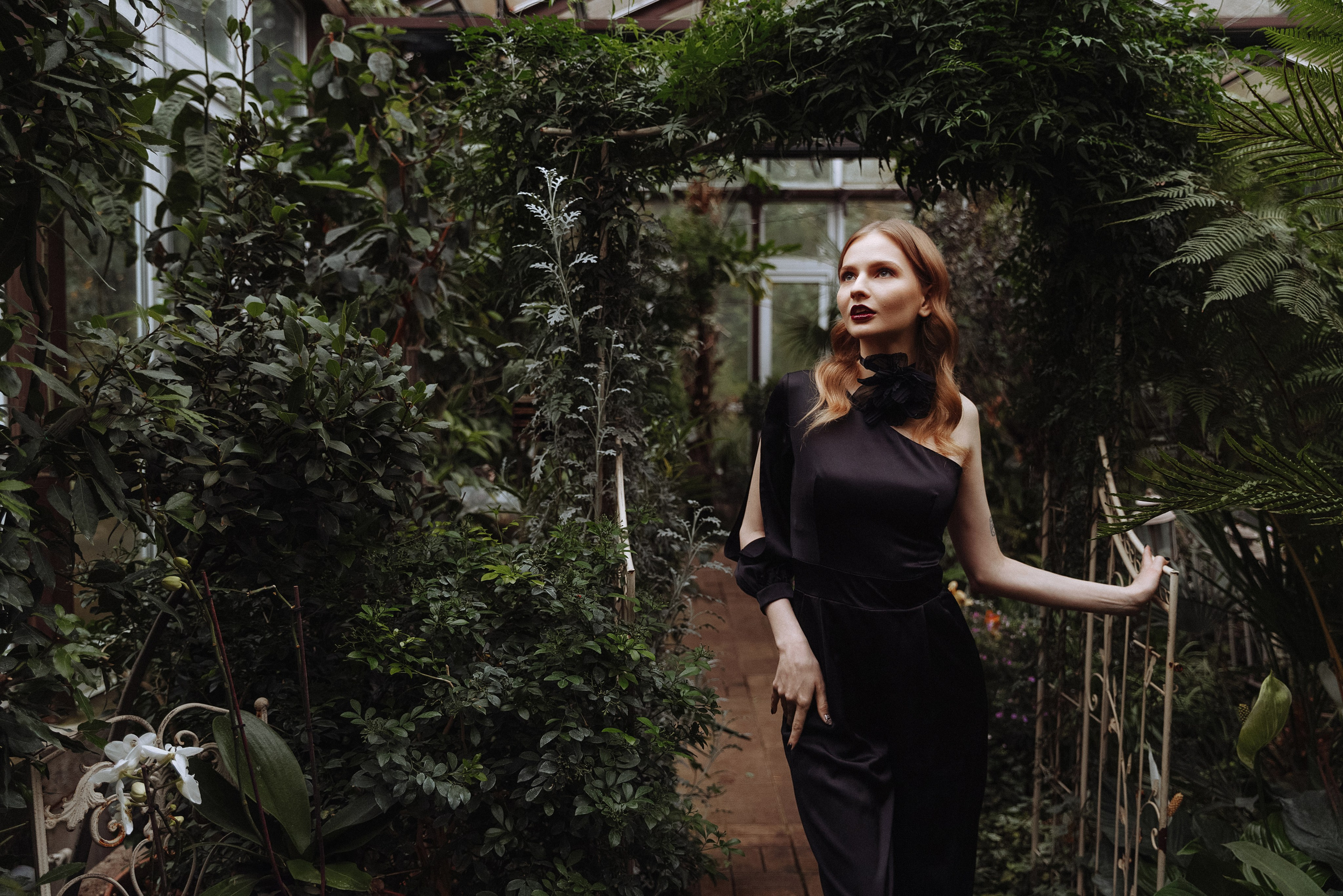 Оранжерея. Каплицкая Любовь — фотограф Тверь