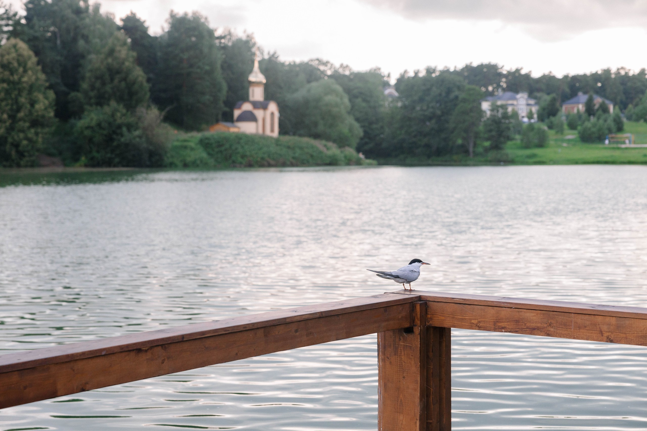 Анастасия&Алексей. Главная