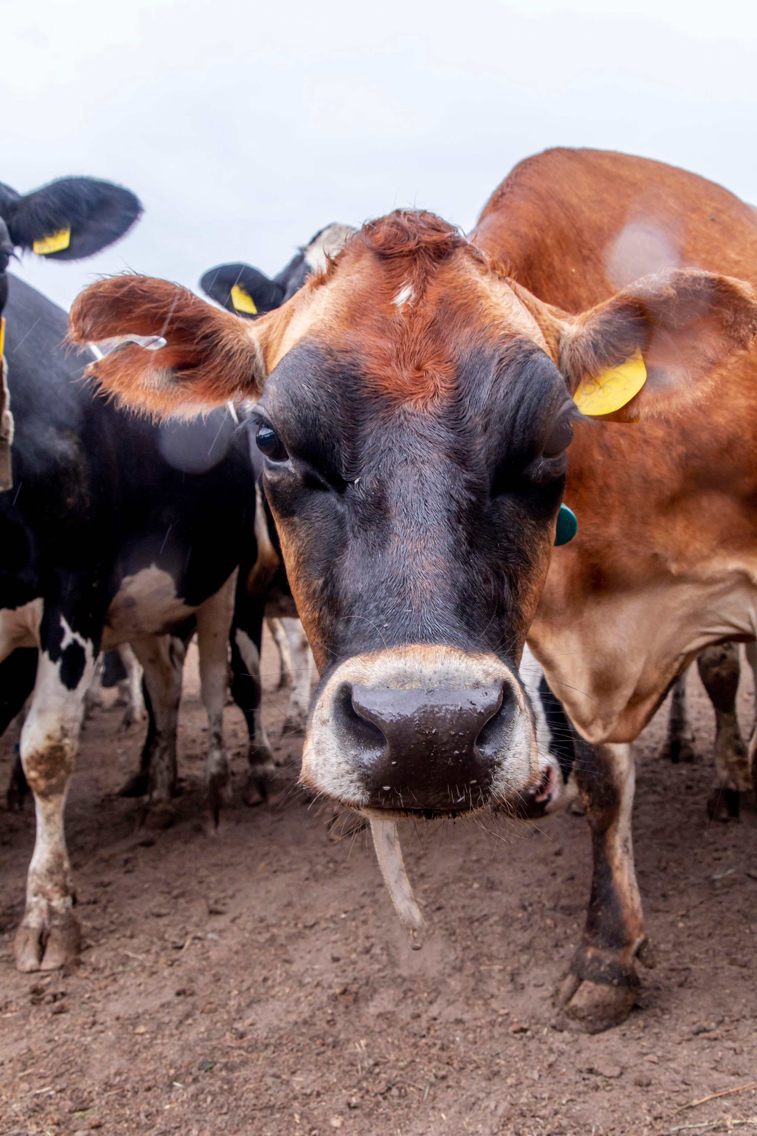 Контент съемка. Персональный Фотограф Ларина Валентина Рязань