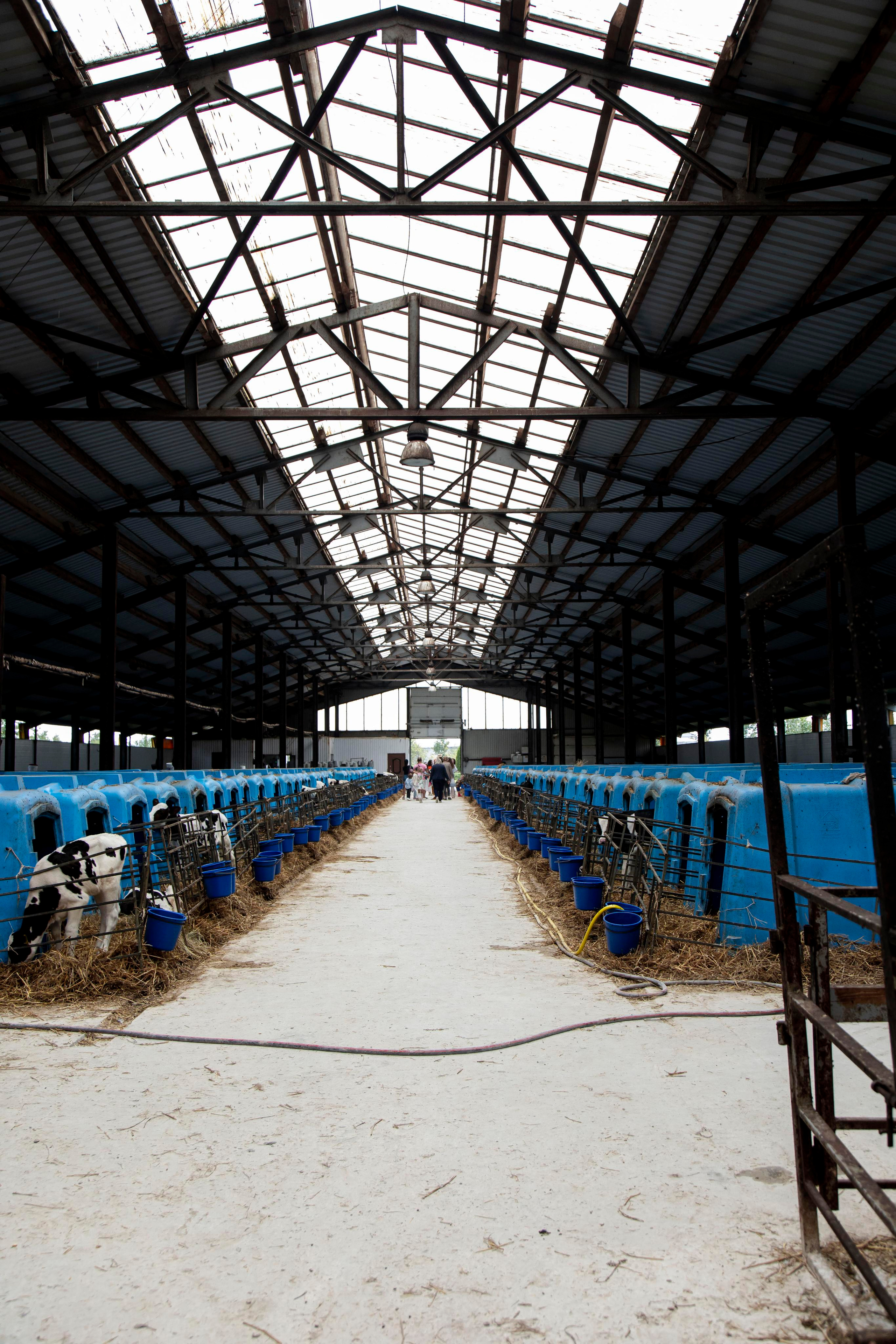 Контент съемка. Персональный Фотограф Ларина Валентина Рязань