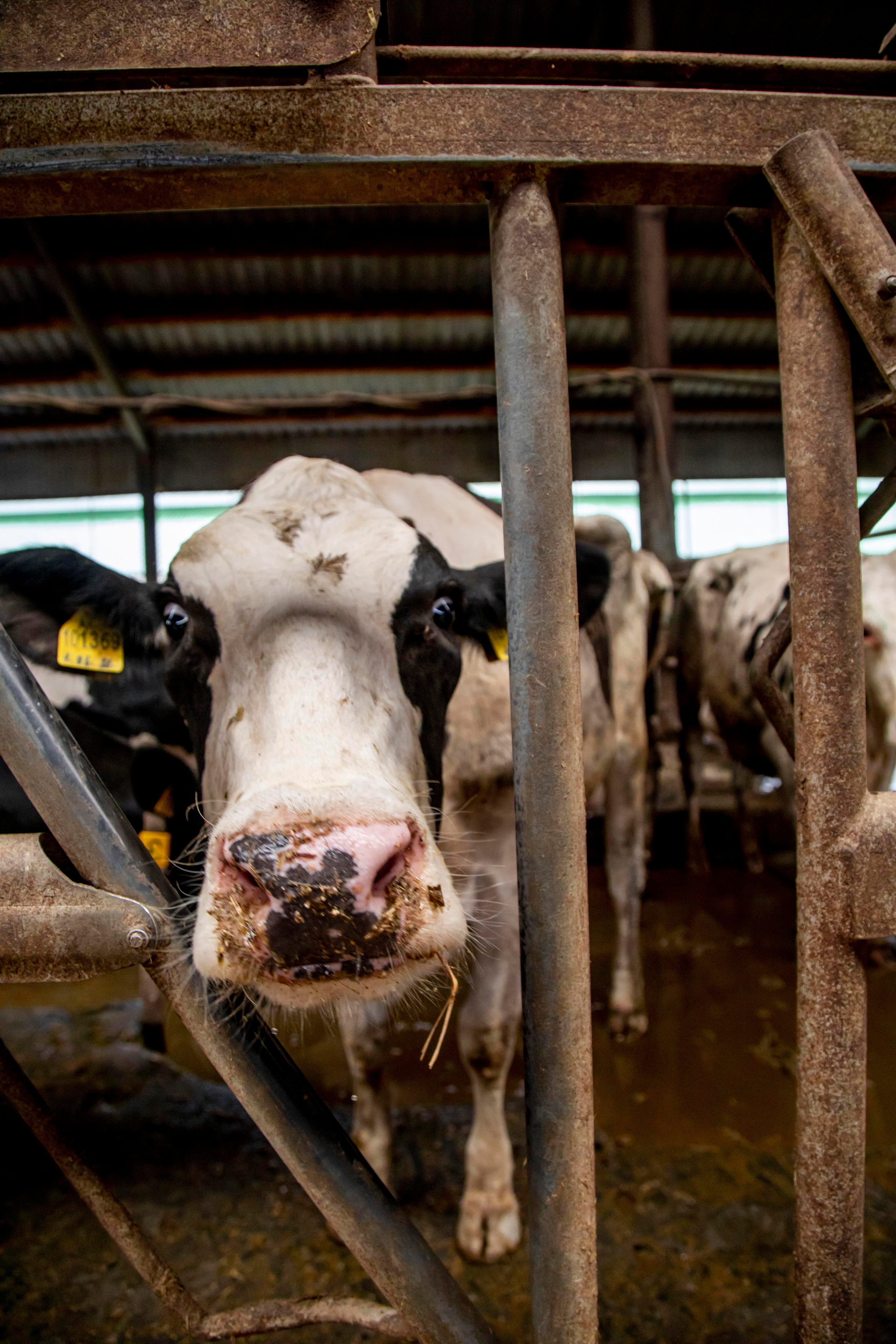 Контент съемка. Персональный Фотограф Ларина Валентина Рязань