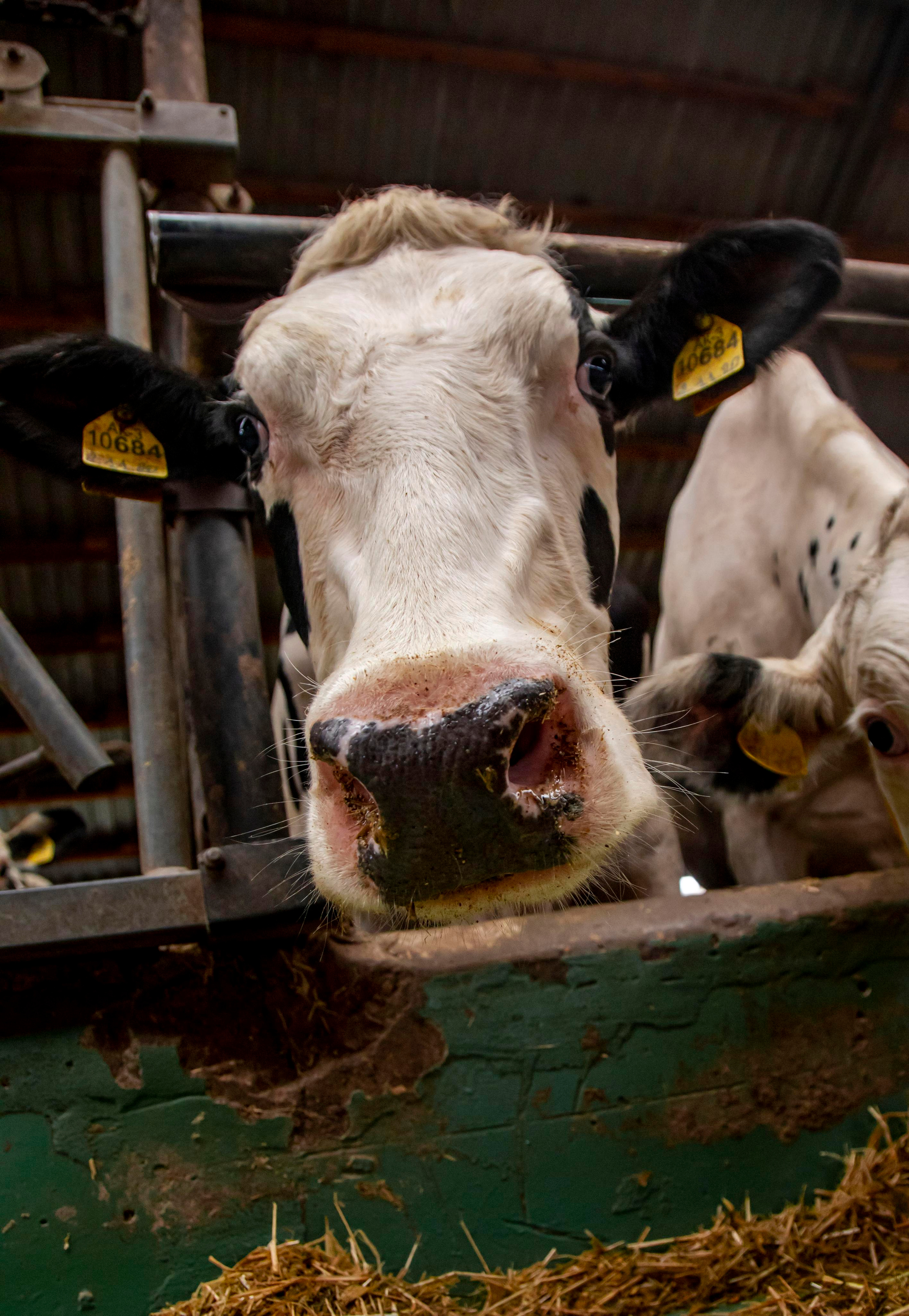 Контент съемка. Персональный Фотограф Ларина Валентина Рязань