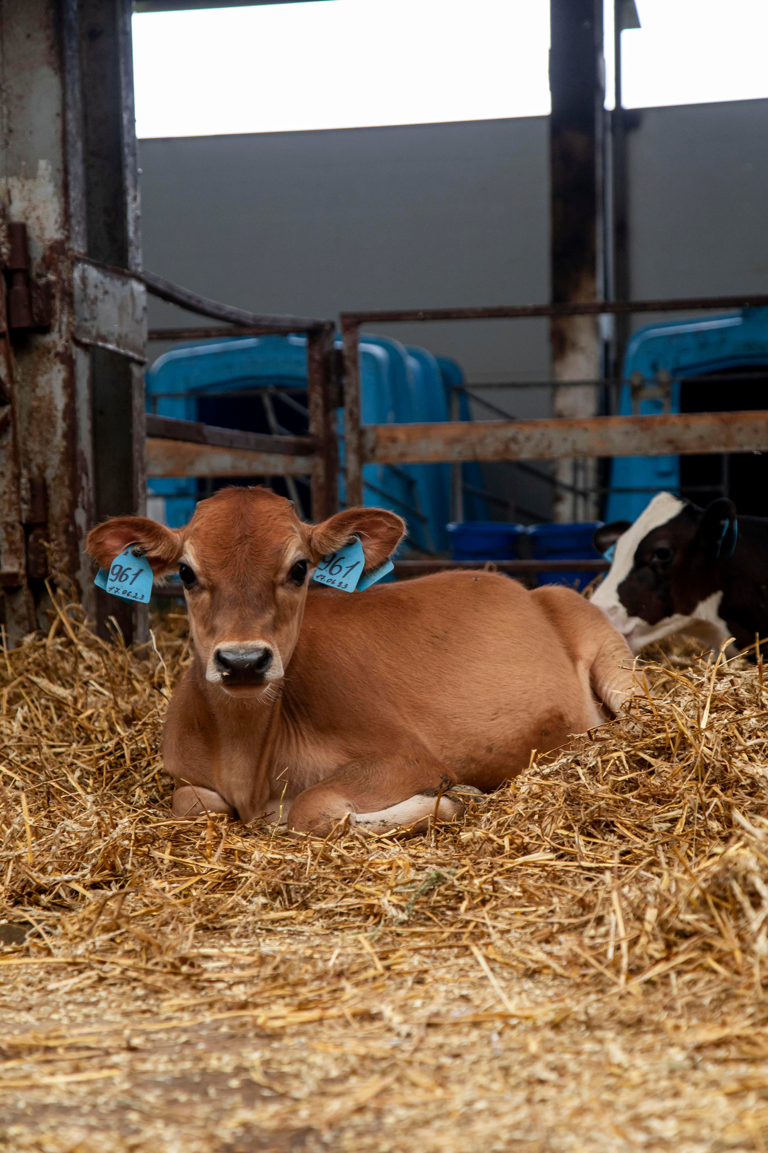 Контент съемка. Персональный Фотограф Ларина Валентина Рязань