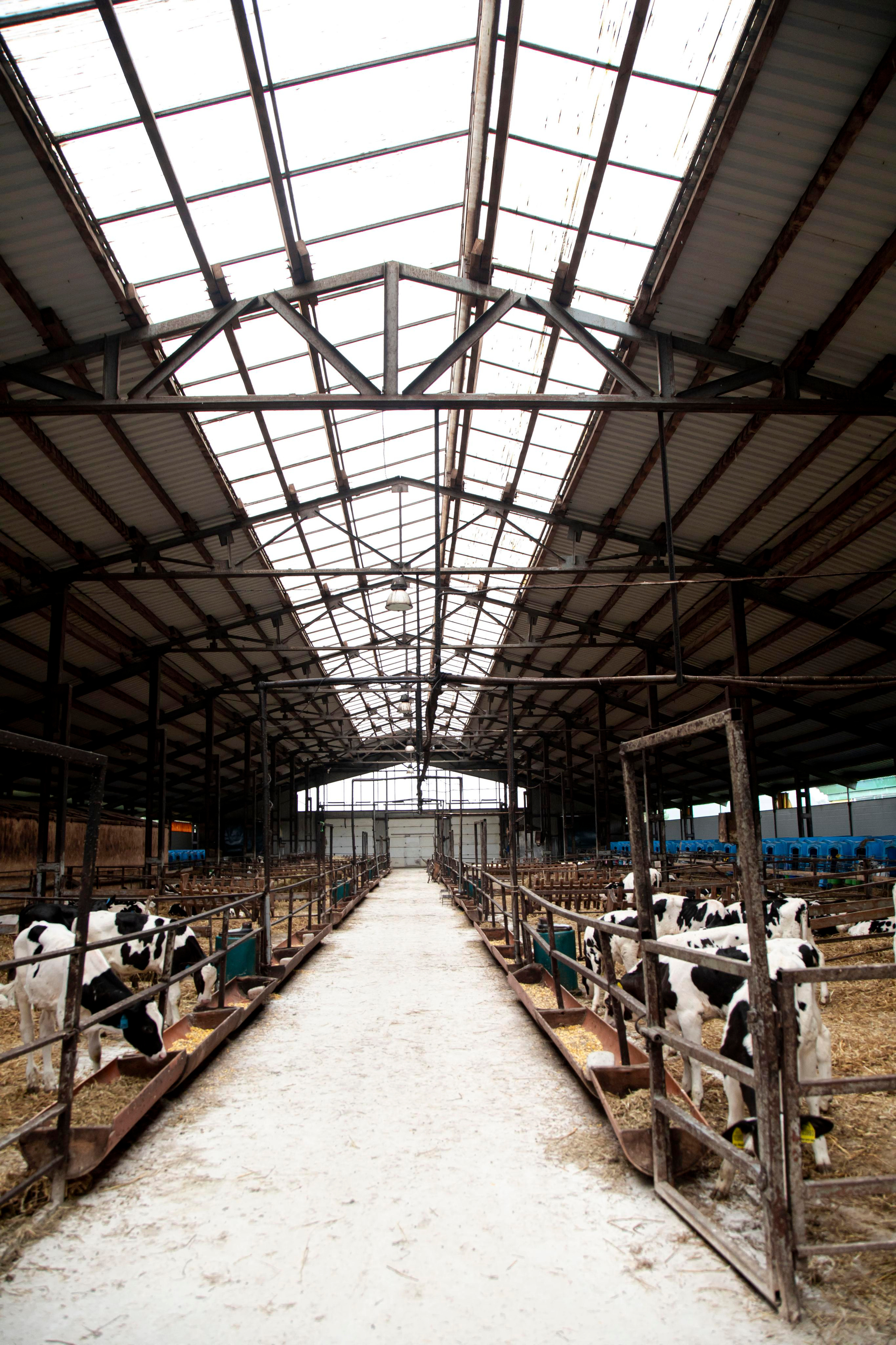 Контент съемка. Персональный Фотограф Ларина Валентина Рязань