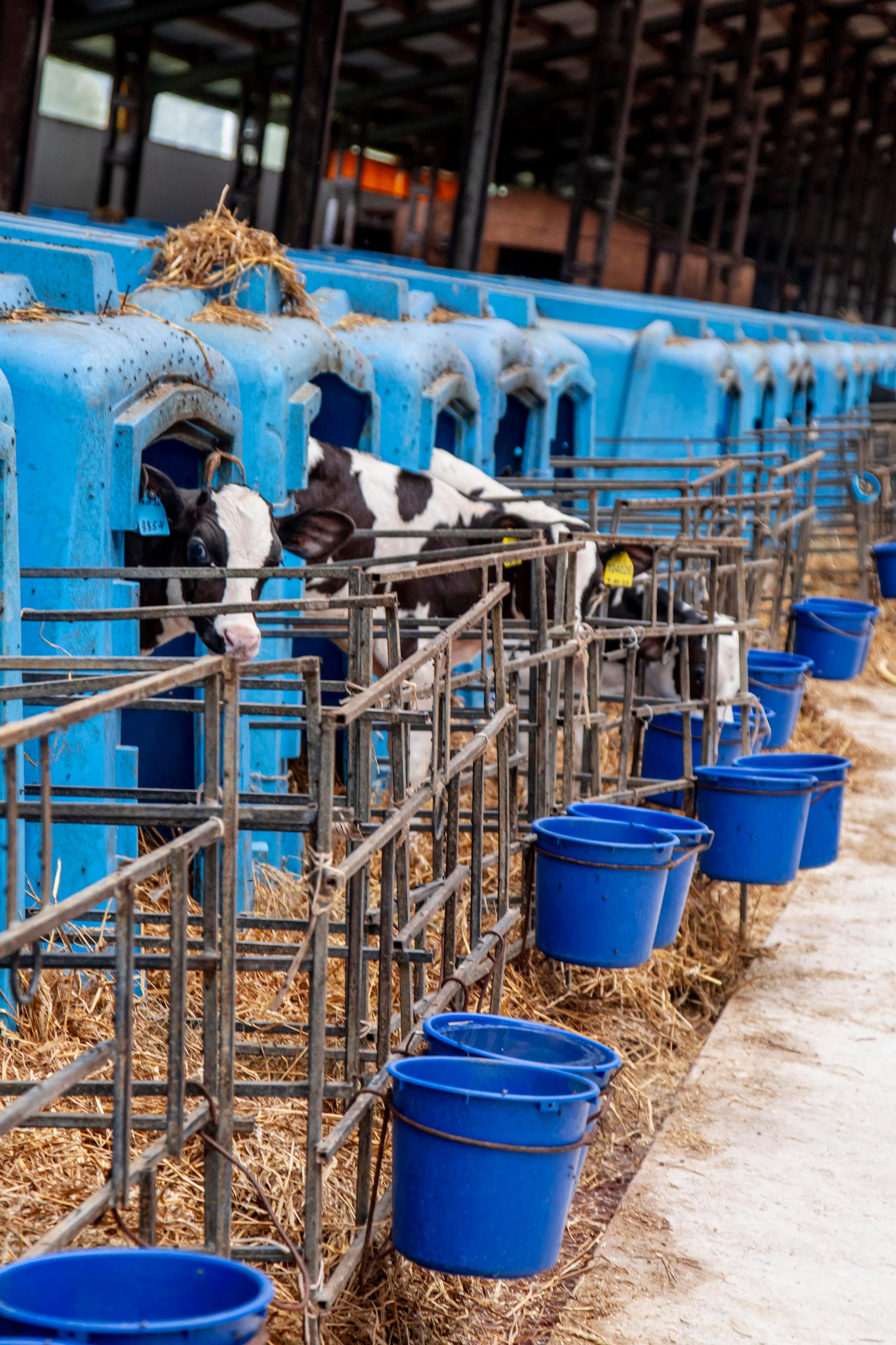 Контент съемка. Персональный Фотограф Ларина Валентина Рязань