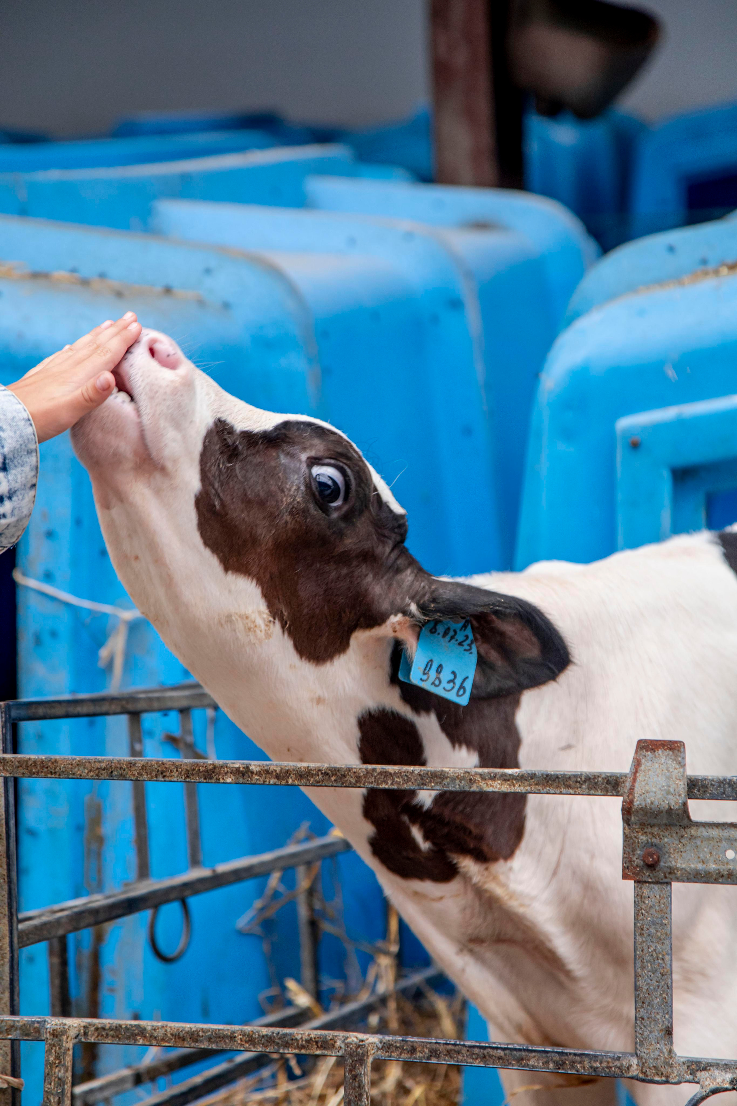 Контент съемка. Персональный Фотограф Ларина Валентина Рязань