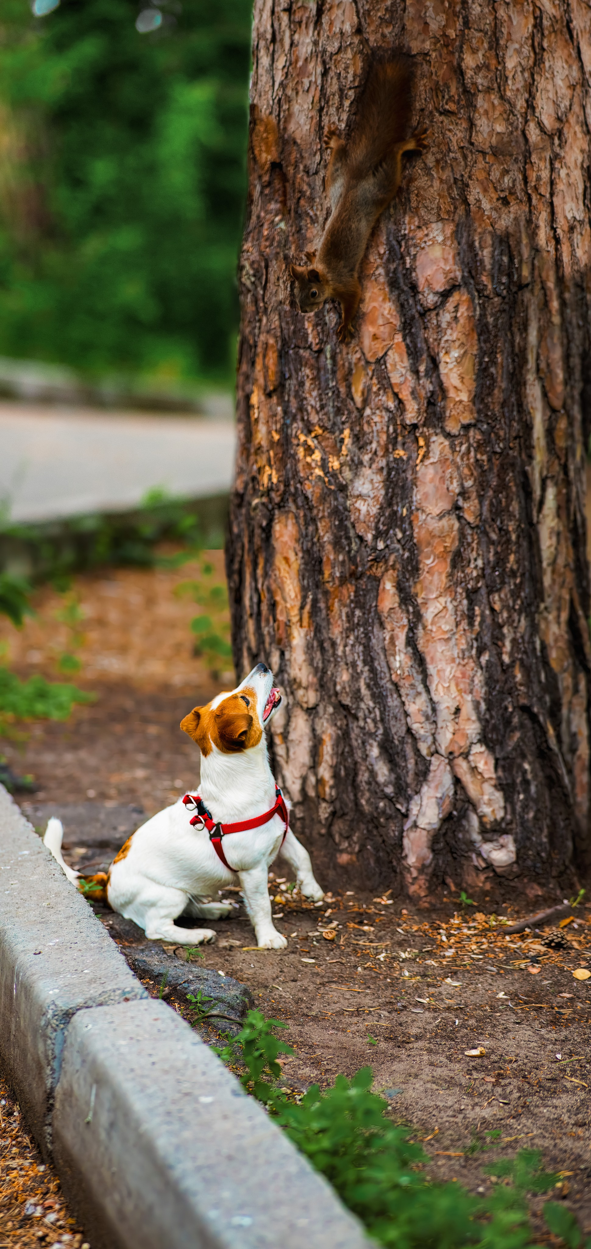 Джина. Максим Казаков — фотограф