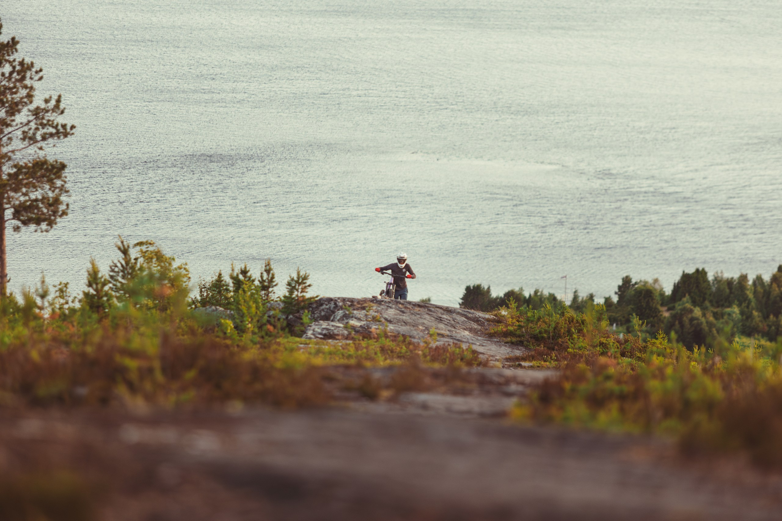 Кандалакшка. Фотограф анималист Никита Натальный