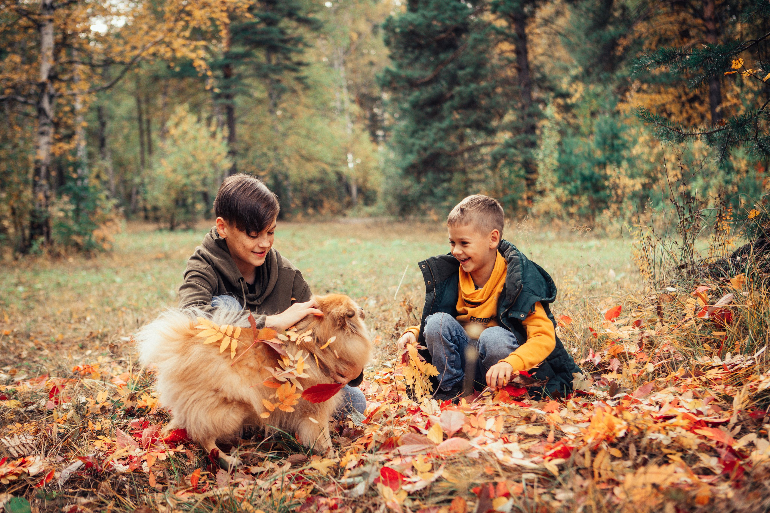 Братишка. Портретный арт-фотограф в Екатеринбурге Алена Нестерова