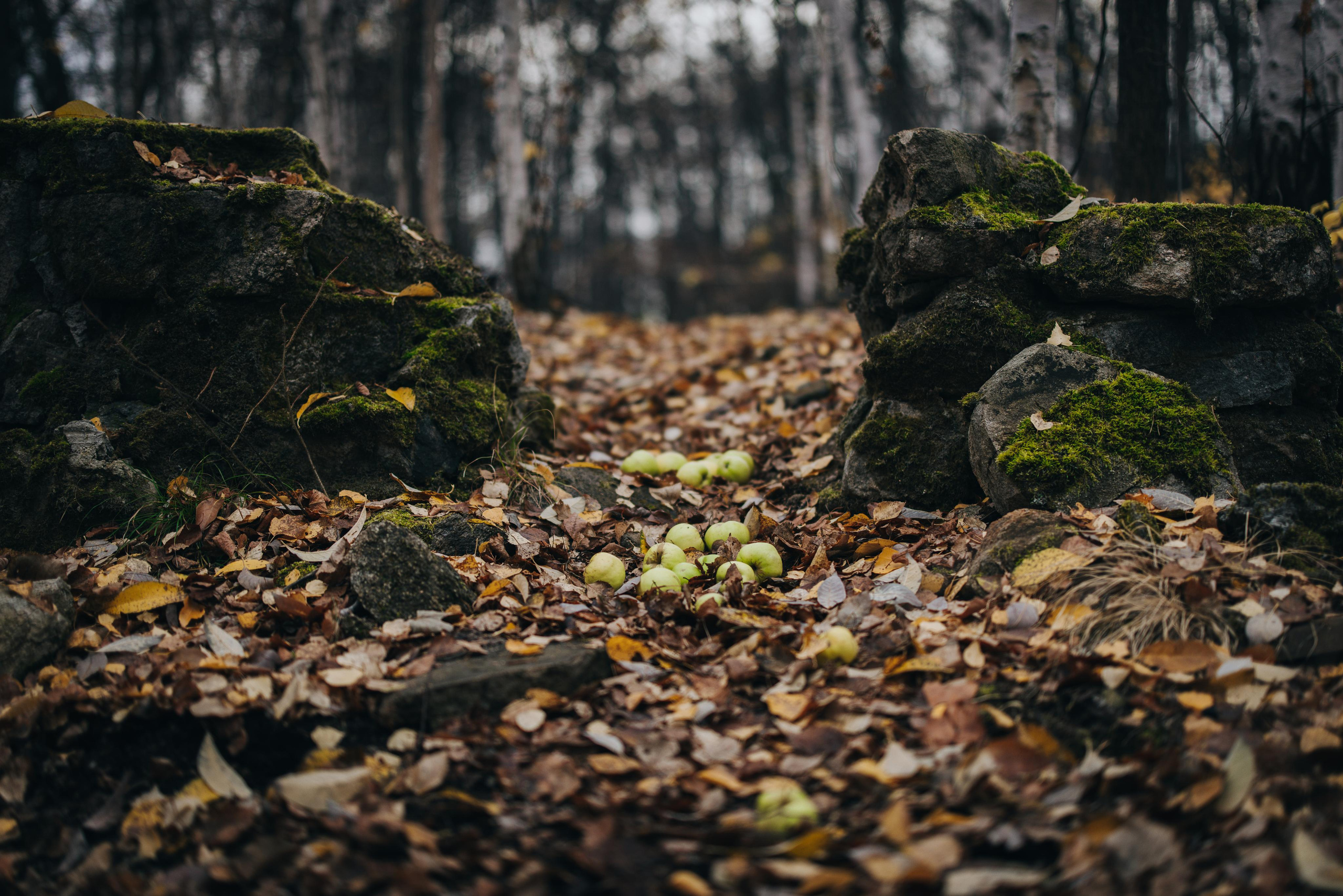 Яблоки падают в небо. Портретный арт-фотограф в Екатеринбурге Алена Нестерова