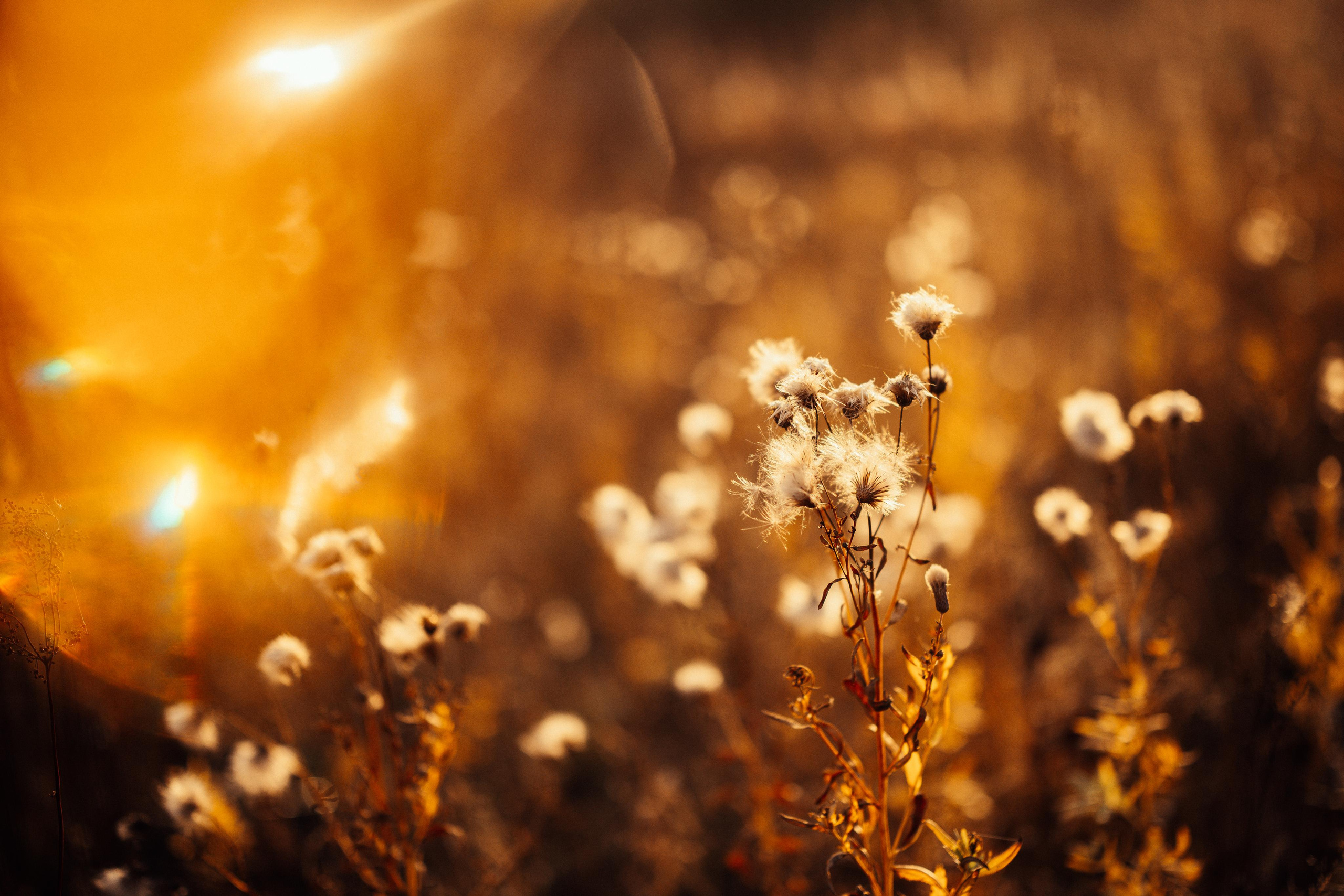 Осеннее равноденствие. Портретный арт-фотограф в Екатеринбурге Алена Нестерова