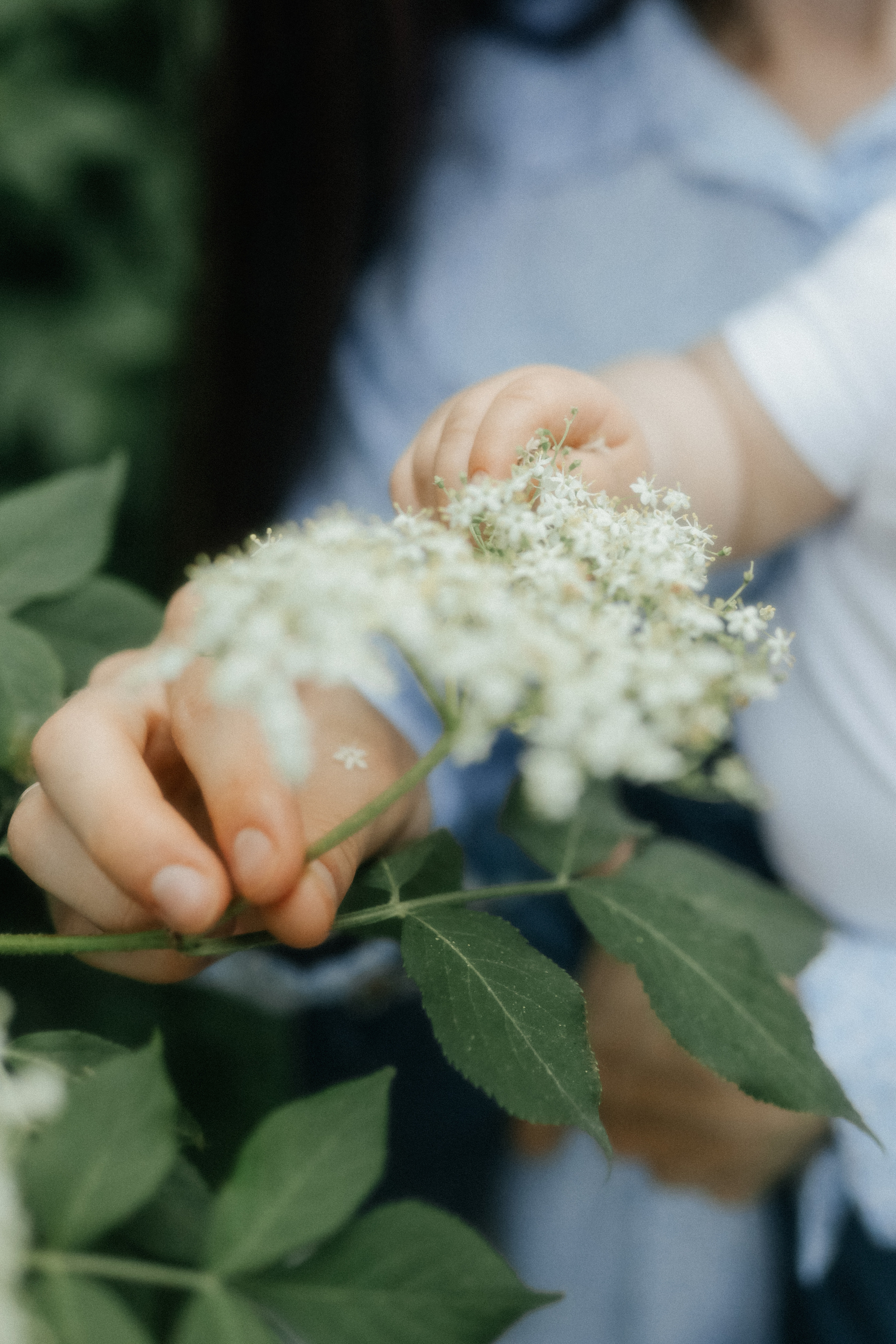 Летняя акварель. Свадебный и семейный фотограф в Варшаве