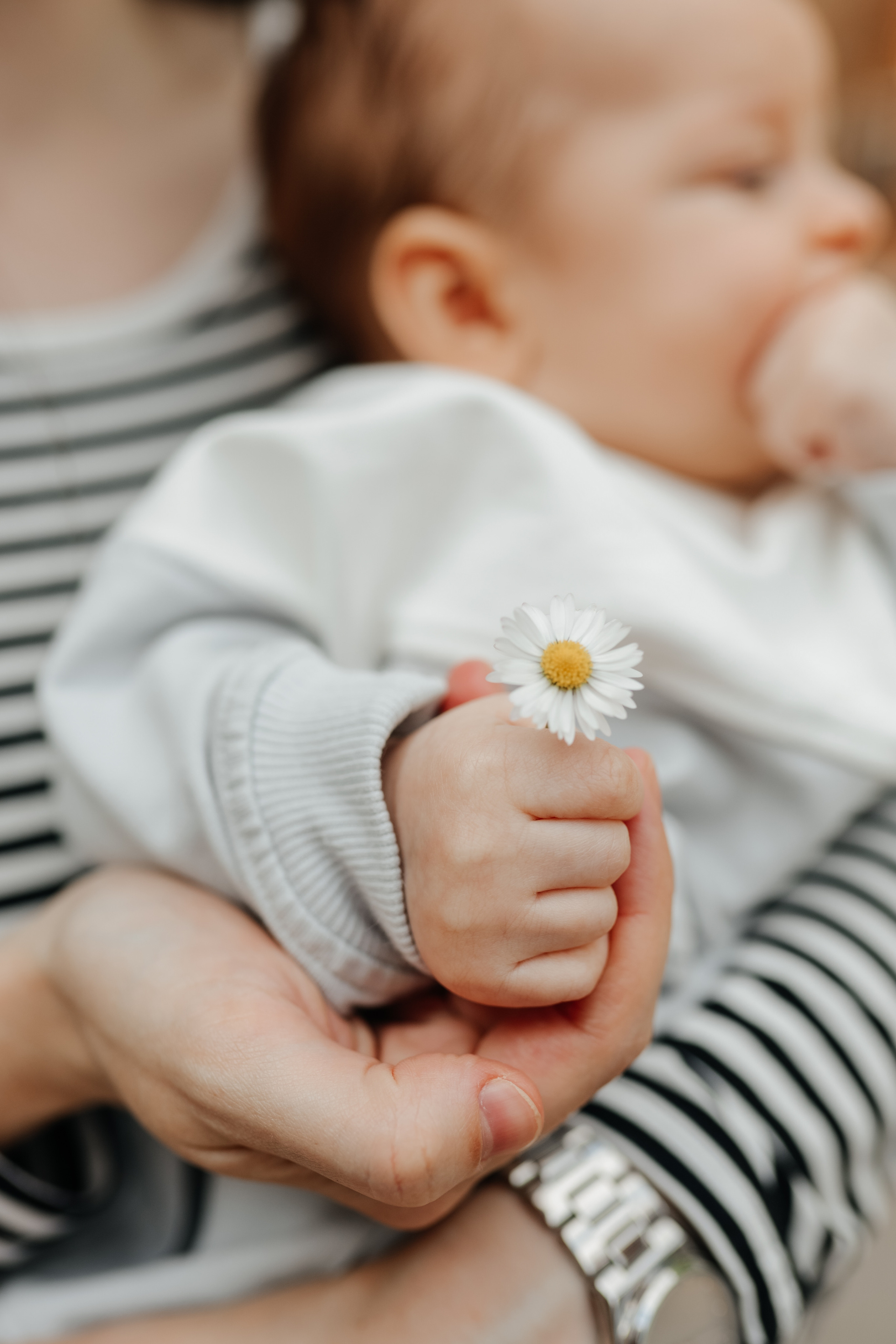 Счастье теперь втроем. Свадебный и семейный фотограф в Варшаве