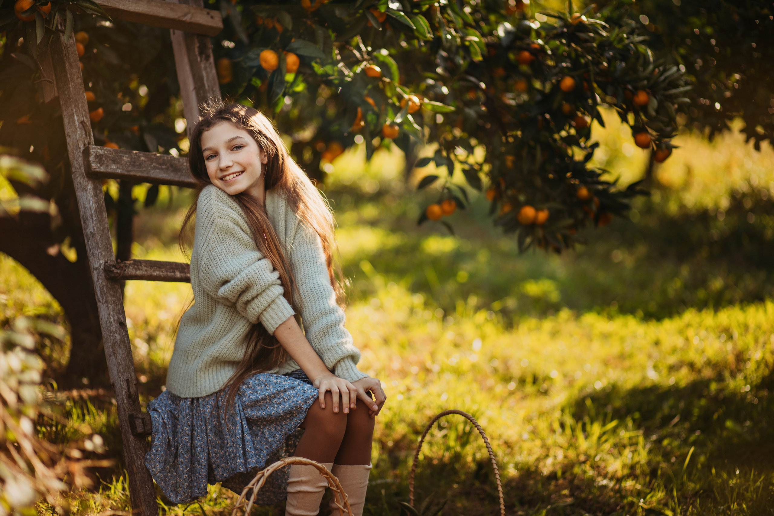 Мандариновая роща. Фотограф Сочи Татьяна Зорина