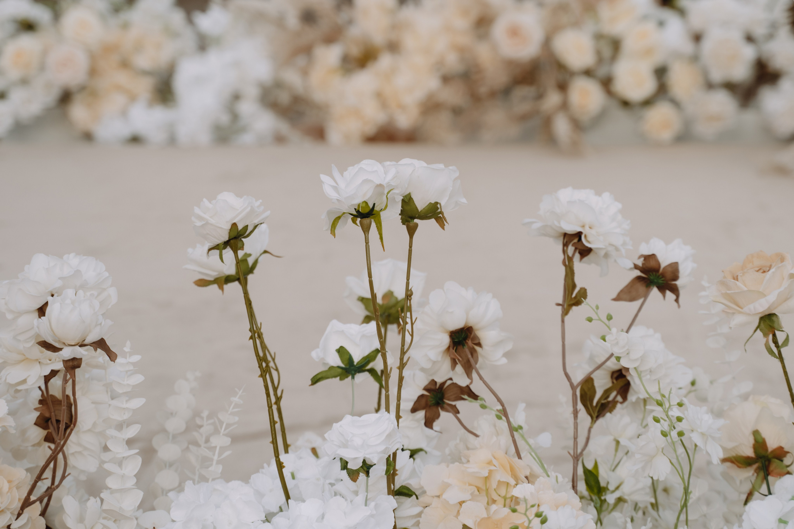 Максим и Настя. Свадебный фотограф Анжелика Сариева