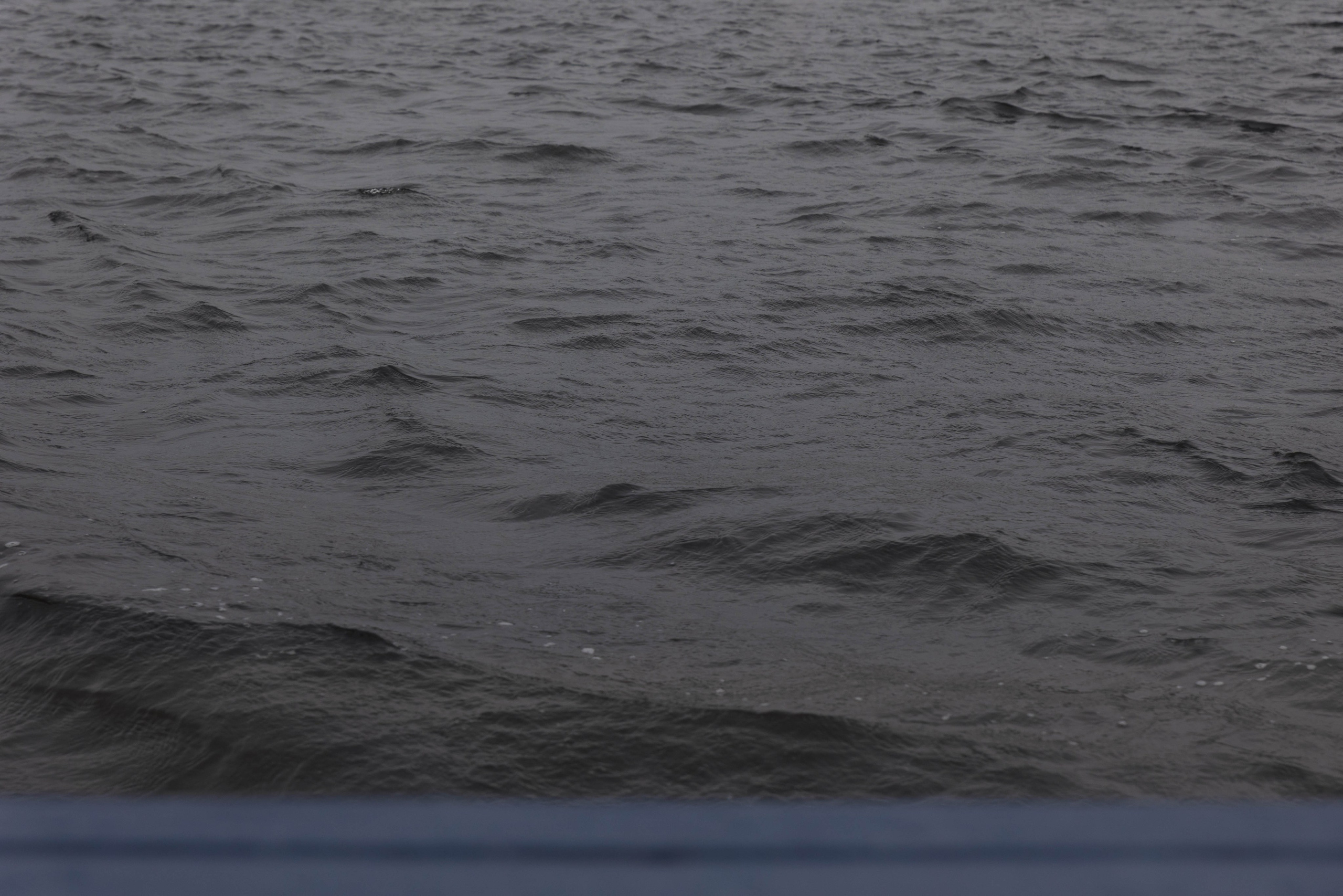 Глеб и Наталья. @dariazphoto свадебный фотограф