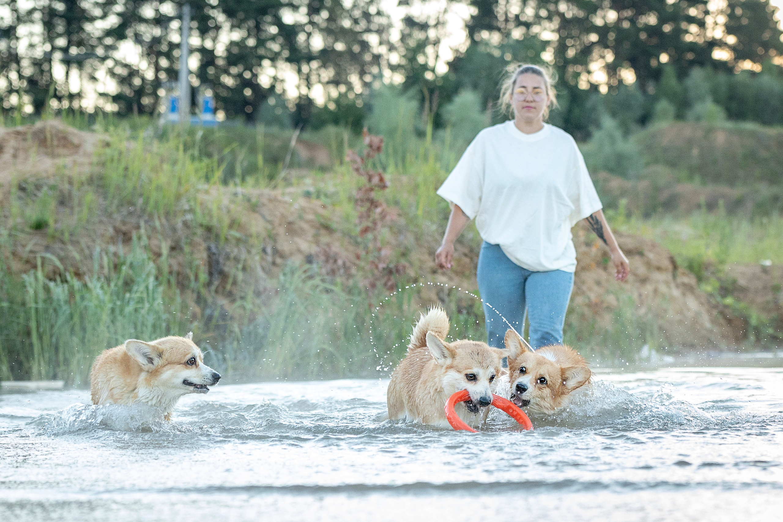 Рассвет. Фотограф-анималист Александра Шеремет