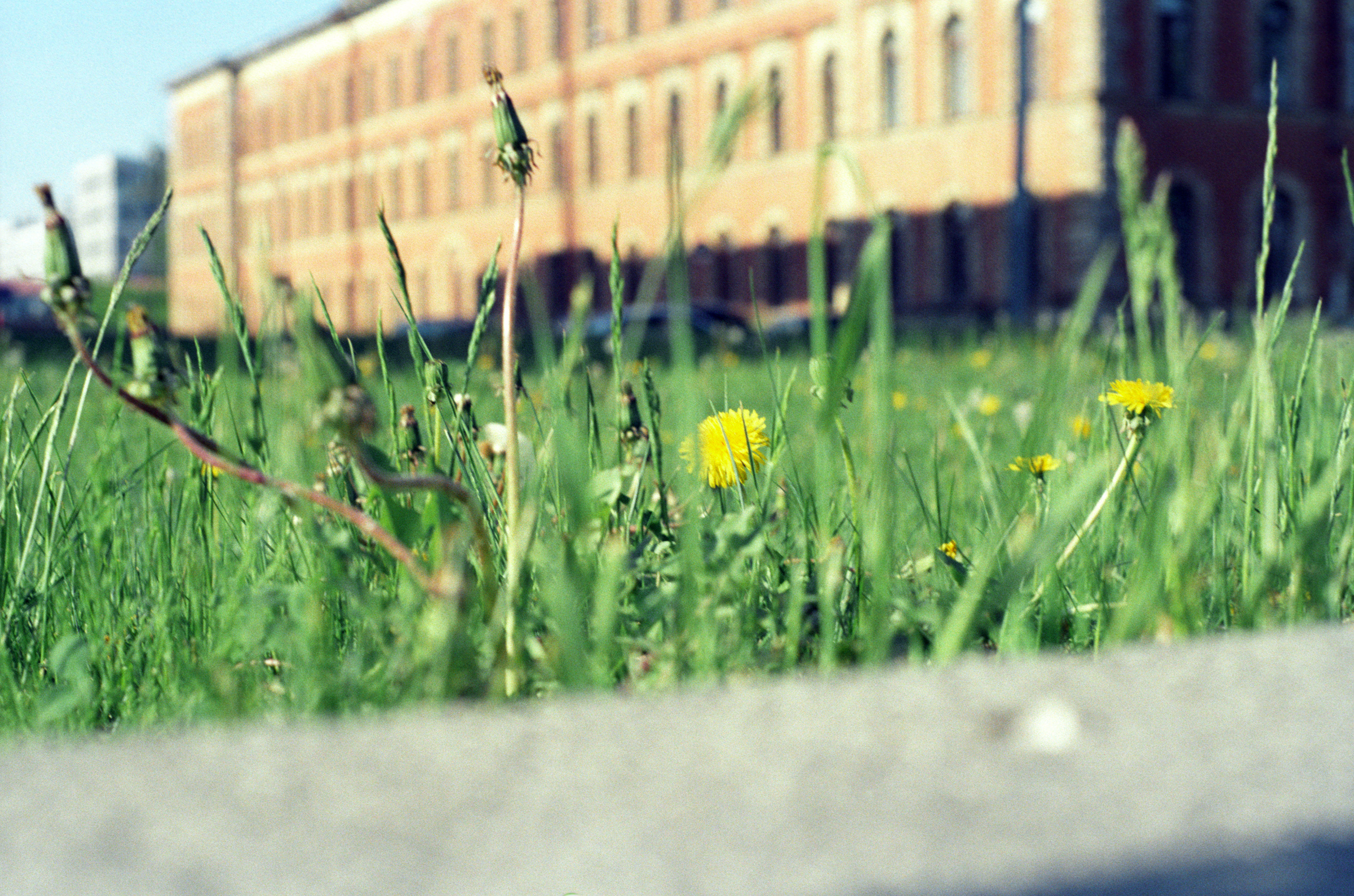My was first attempt to shoot a film and this is the result. Natalia Carney — Photographer, Model, Blogger