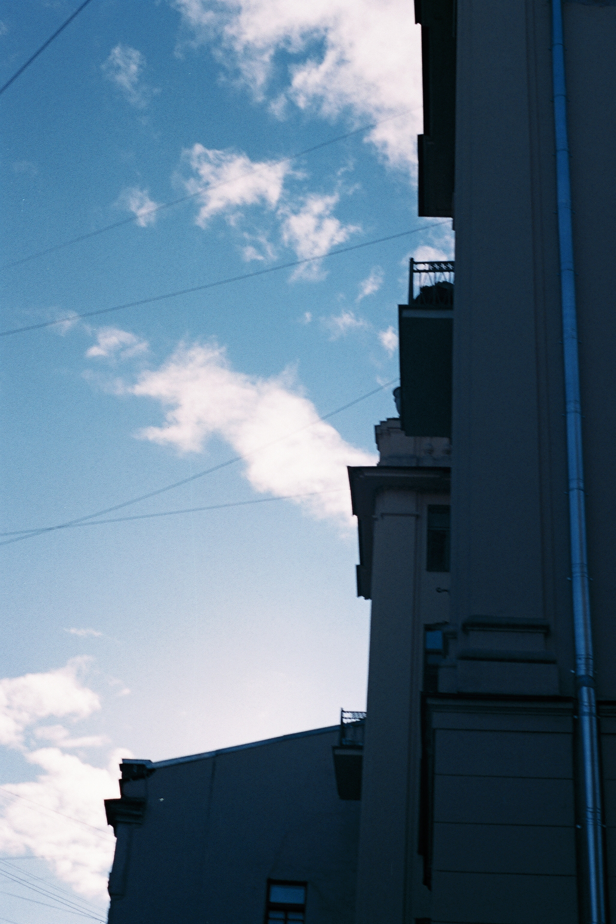 Silberra Color 100. Natalia Carney — Photographer, Model, Blogger