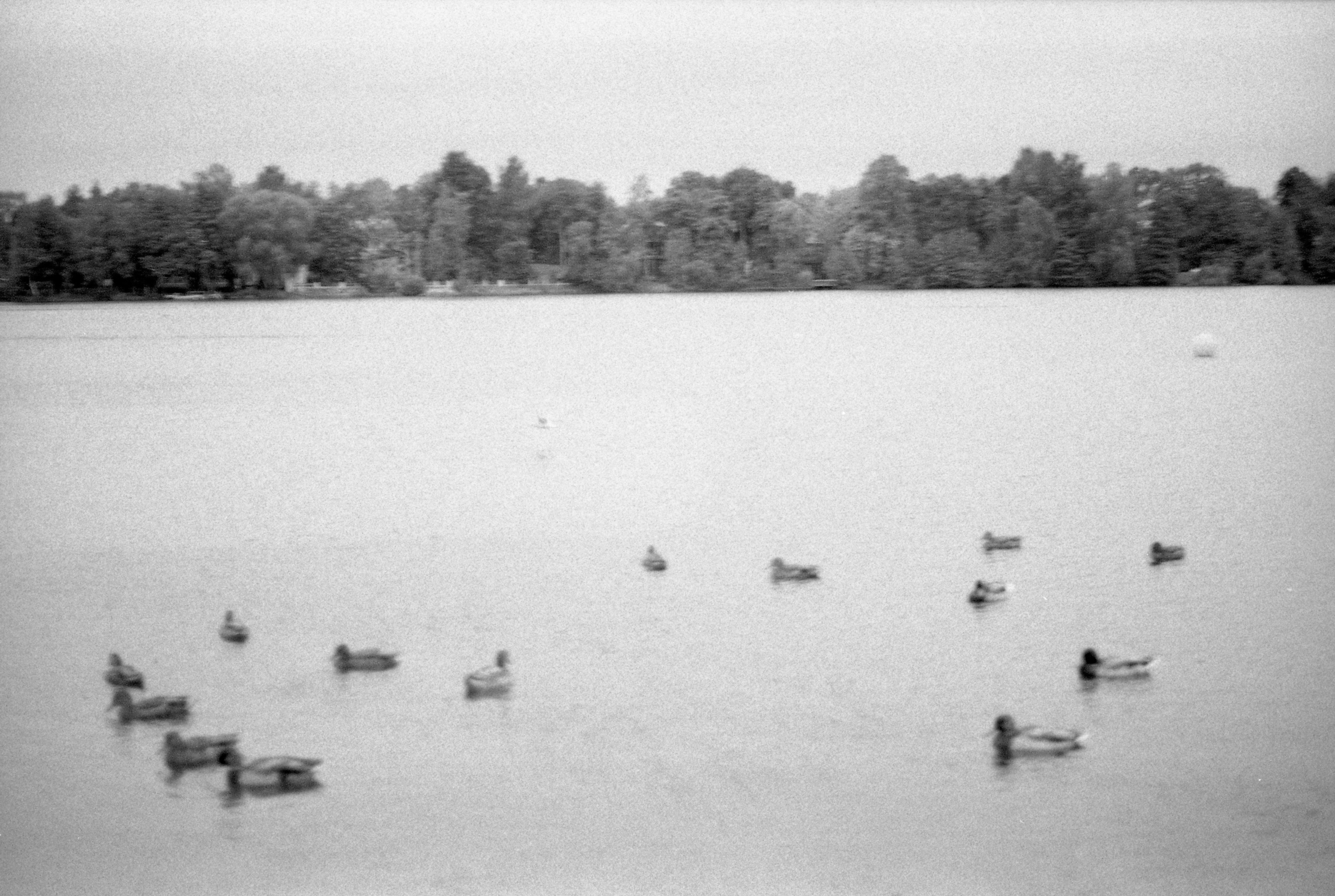 Silberra Ultima 160. Natalia Carney — Photographer, Model, Blogger