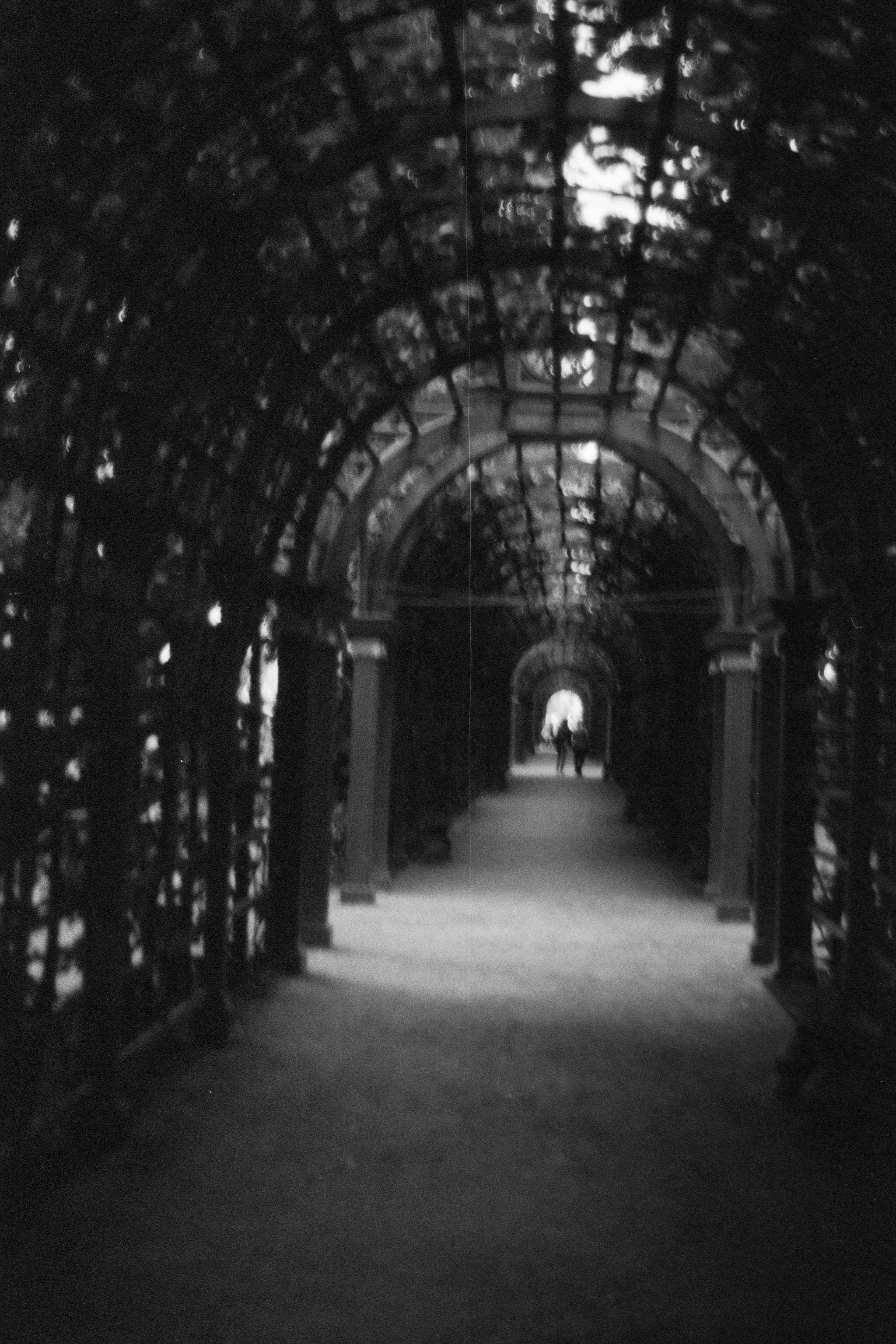 Silberra P400. Natalia Carney — Photographer, Model, Blogger