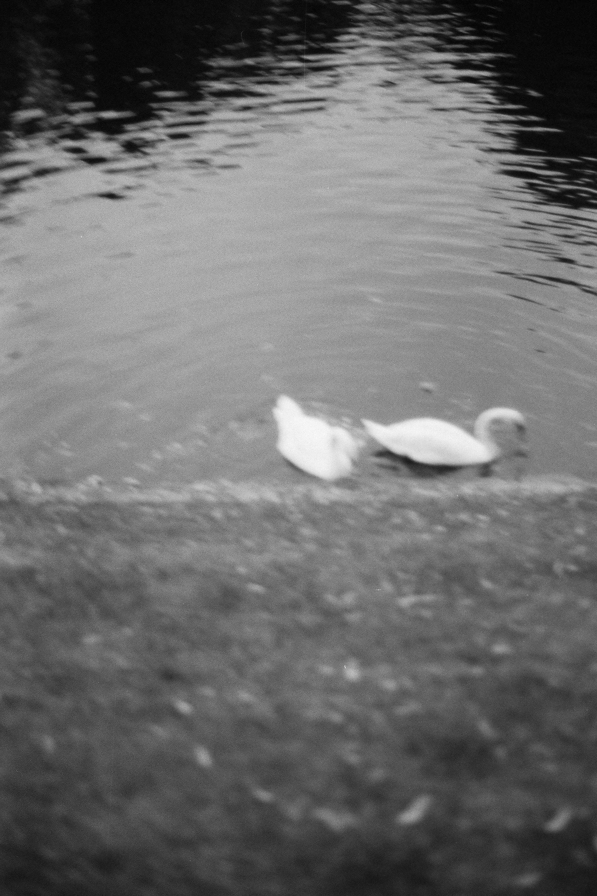 Silberra P400. Natalia Carney — Photographer, Model, Blogger