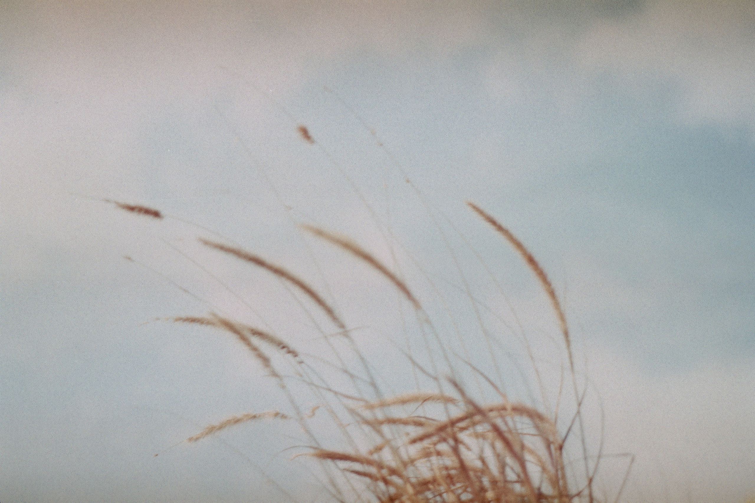 Silberra Color 50. Natalia Carney — Photographer, Model, Blogger