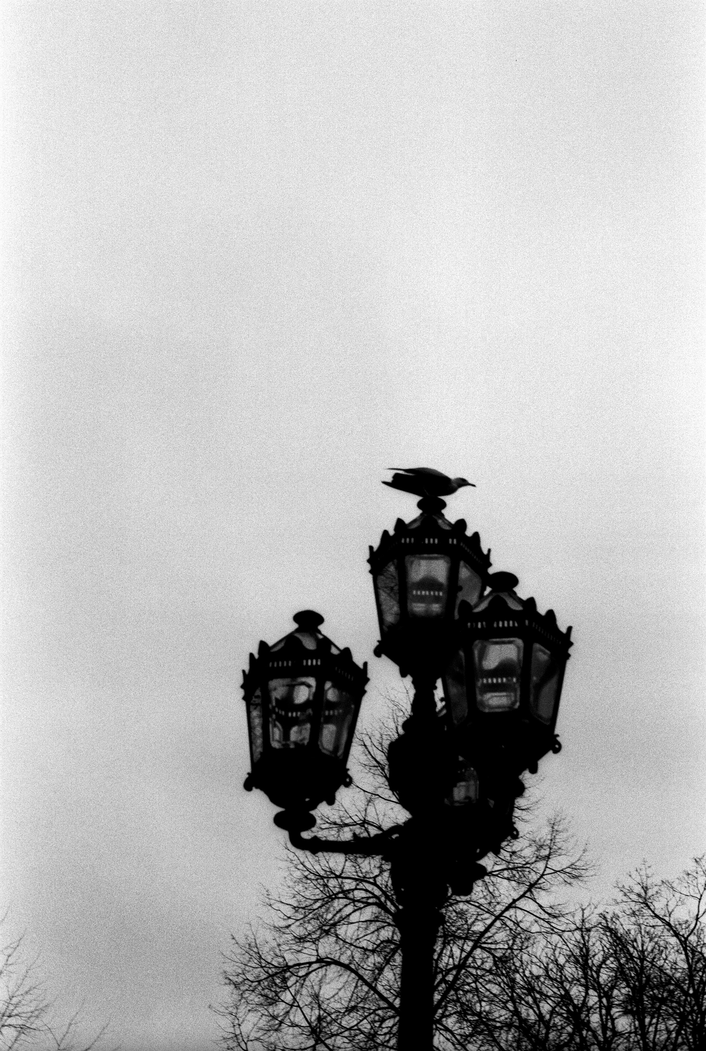 Silberra Pan 160. Natalia Carney — Photographer, Model, Blogger