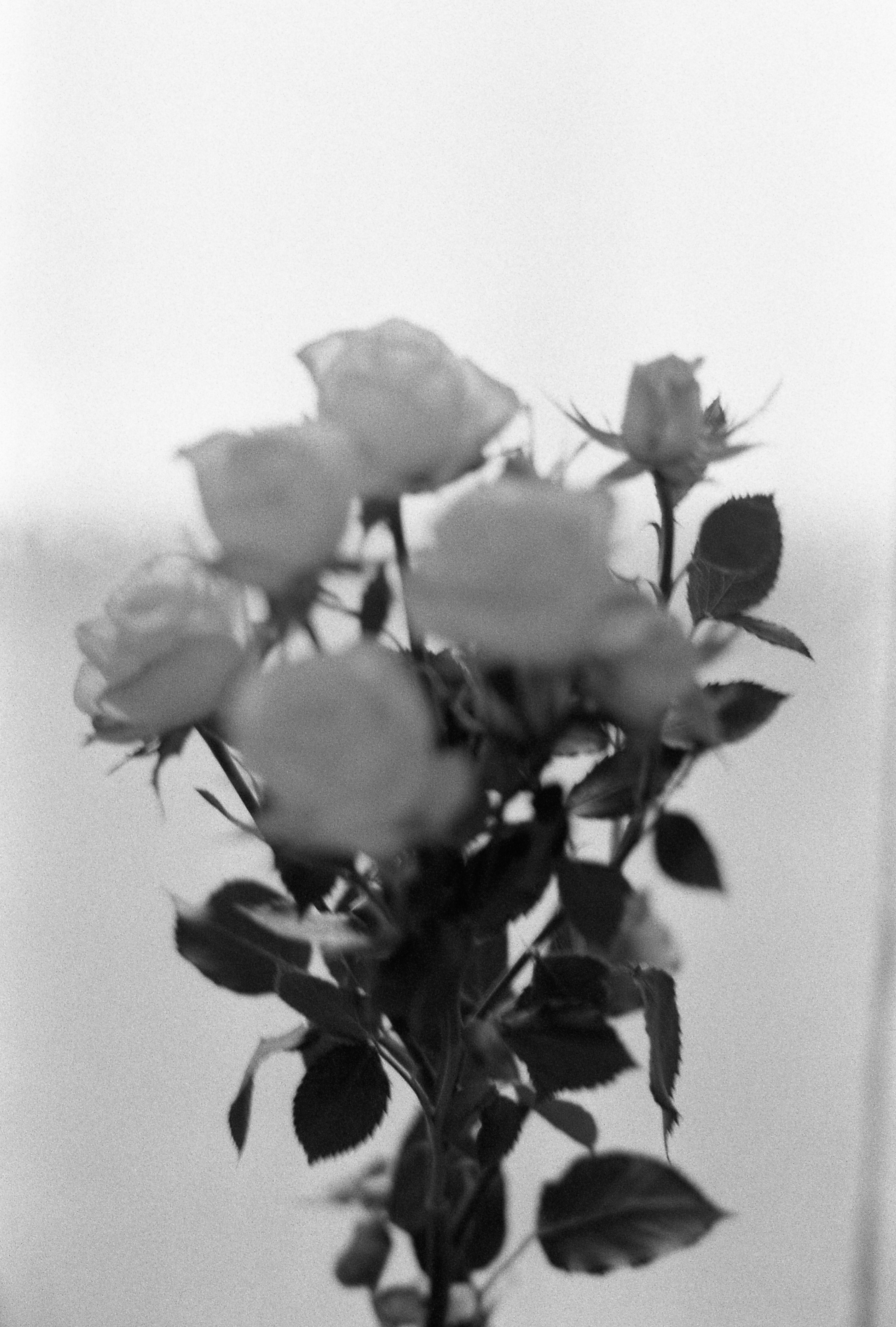 Silberra U400. Natalia Carney — Photographer, Model, Blogger