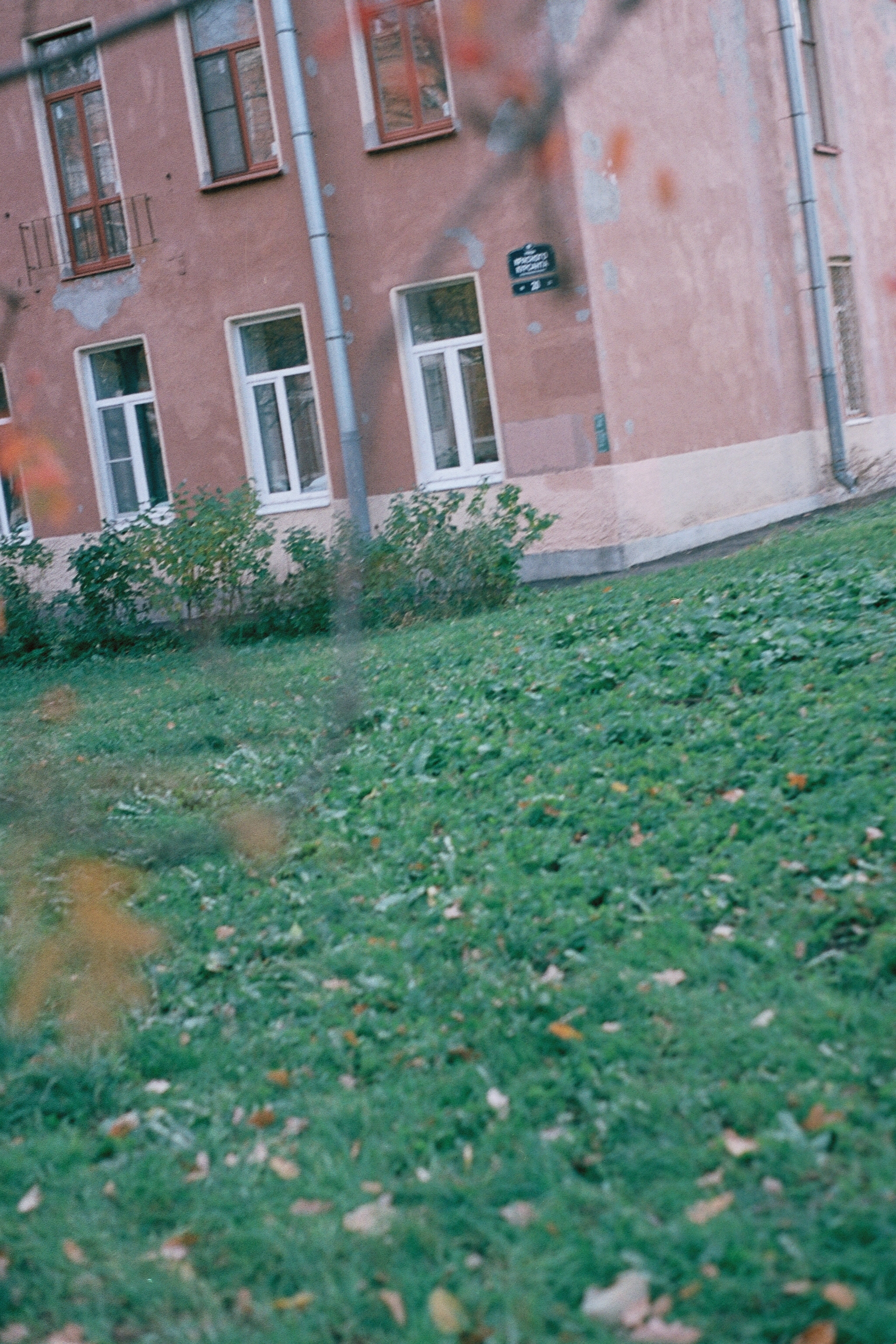 Silberra Color 100. Natalia Carney — Photographer, Model, Blogger