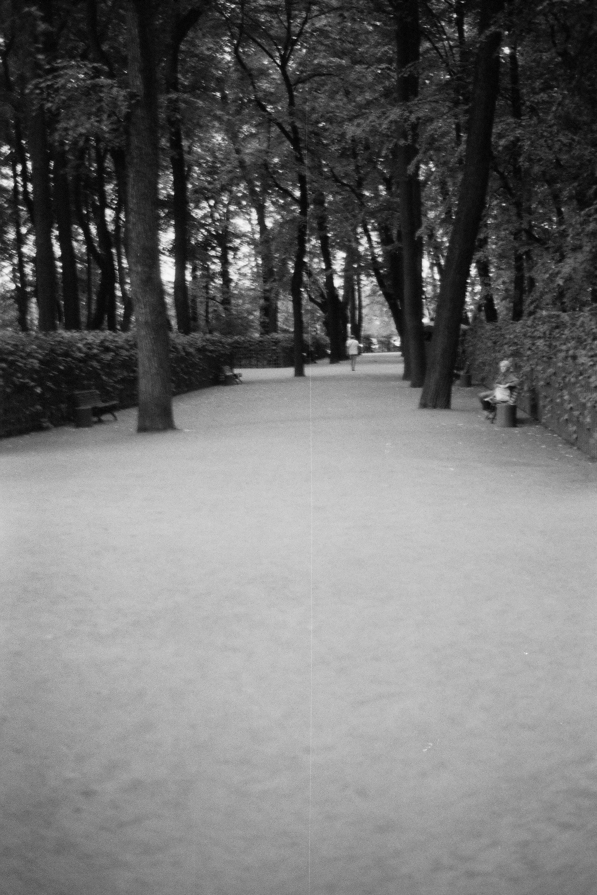 Silberra P400. Natalia Carney — Photographer, Model, Blogger