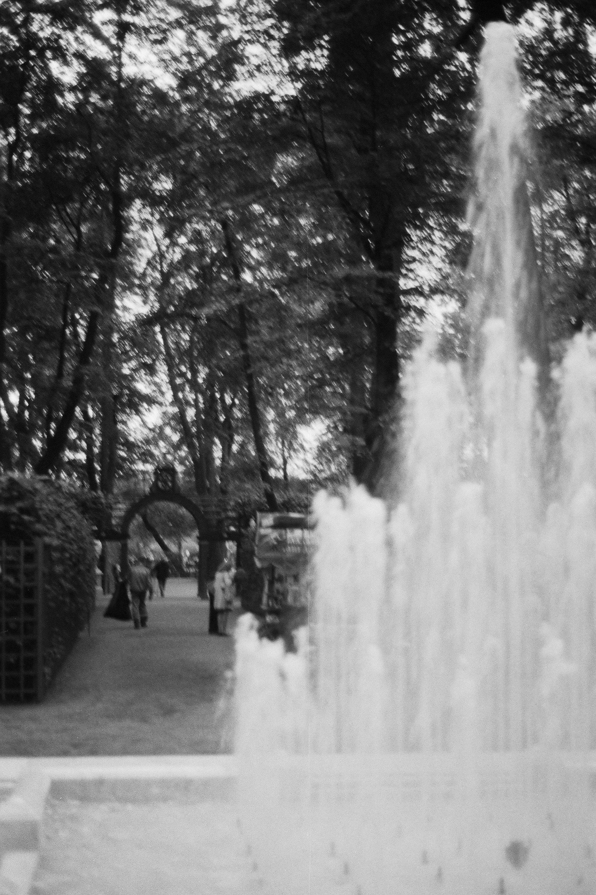 Silberra P400. Natalia Carney — Photographer, Model, Blogger