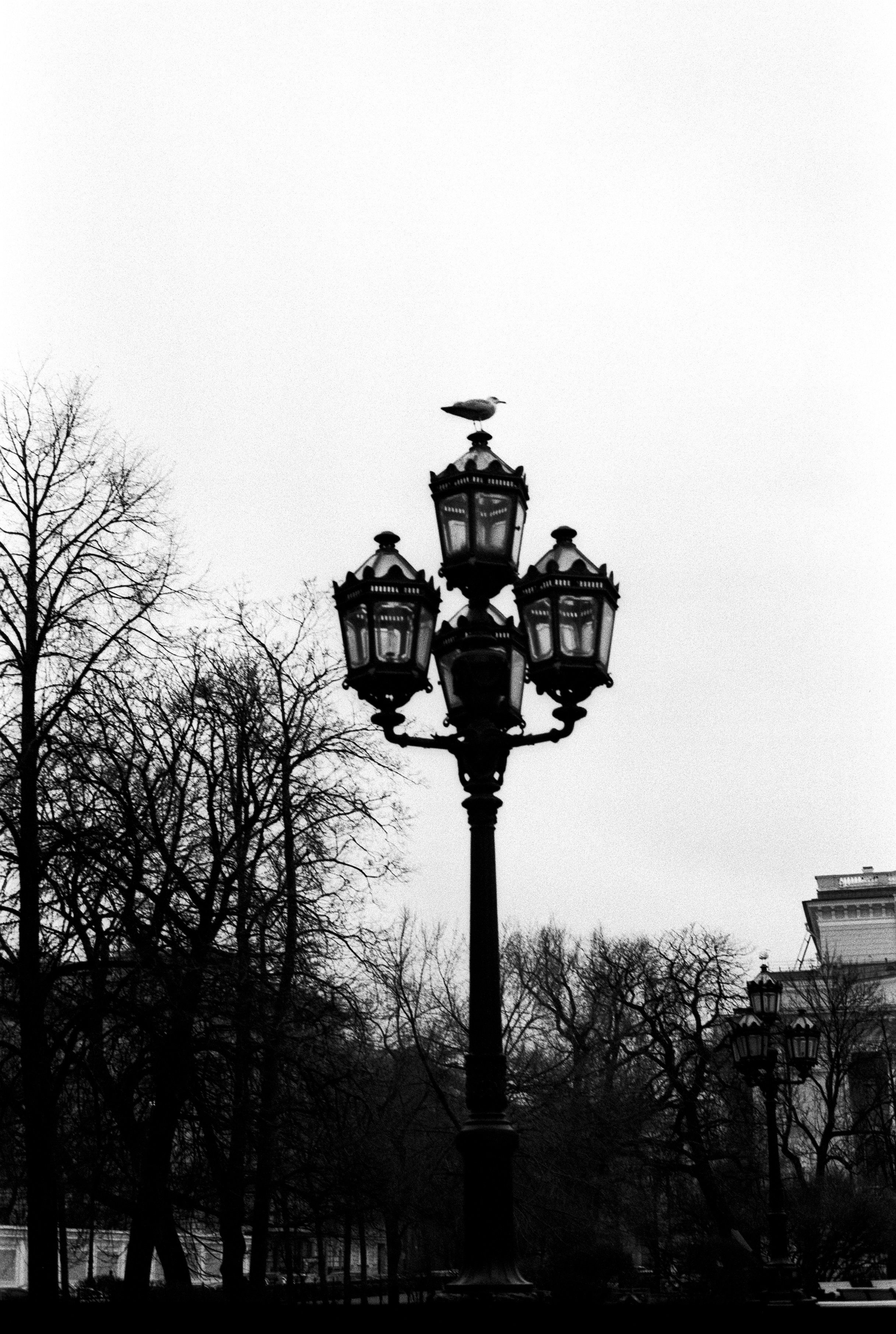 Silberra Pan 160. Natalia Carney — Photographer, Model, Blogger