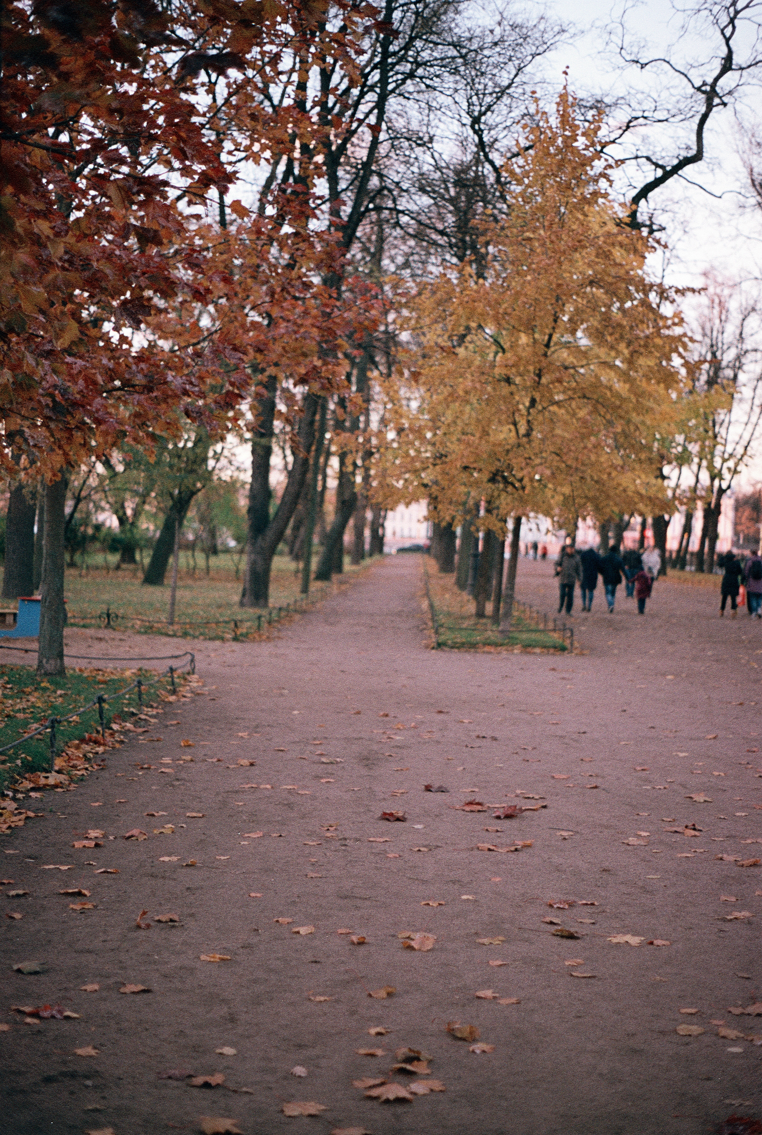 Silberra Color 160. Natalia Carney — Photographer, Model, Blogger