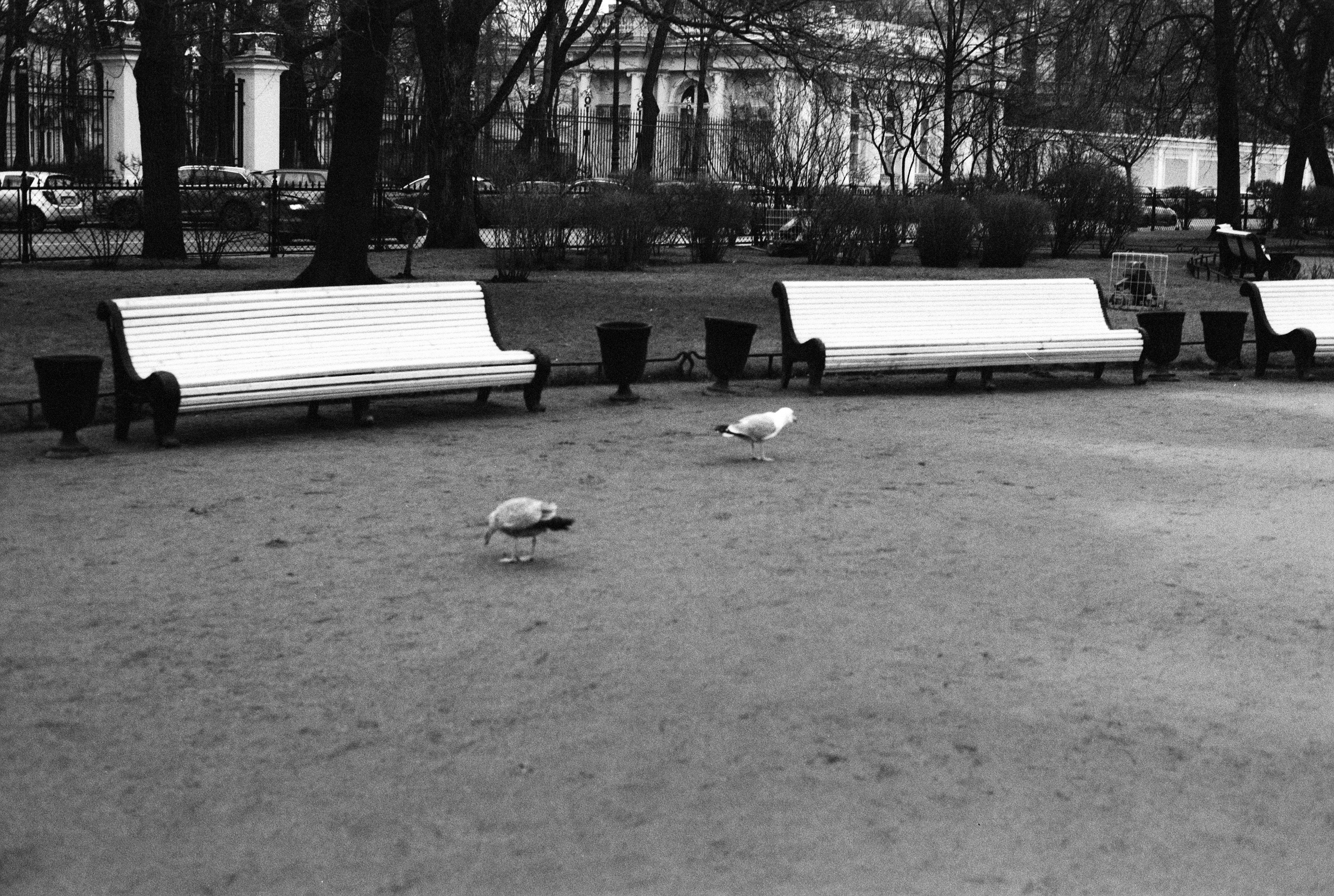 Silberra Pan 160. Natalia Carney — Photographer, Model, Blogger