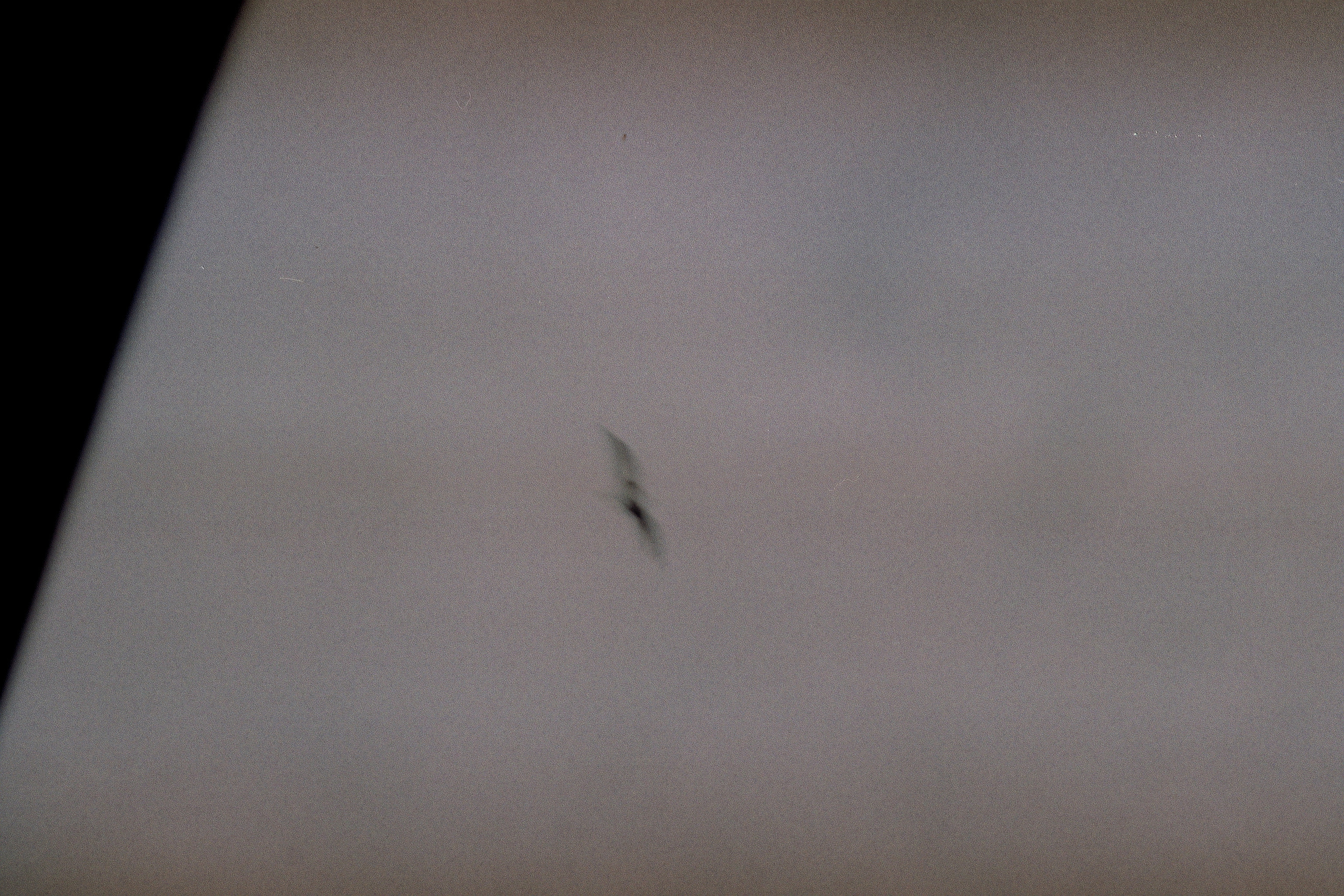 Silberra Color 50. Natalia Carney — Photographer, Model, Blogger