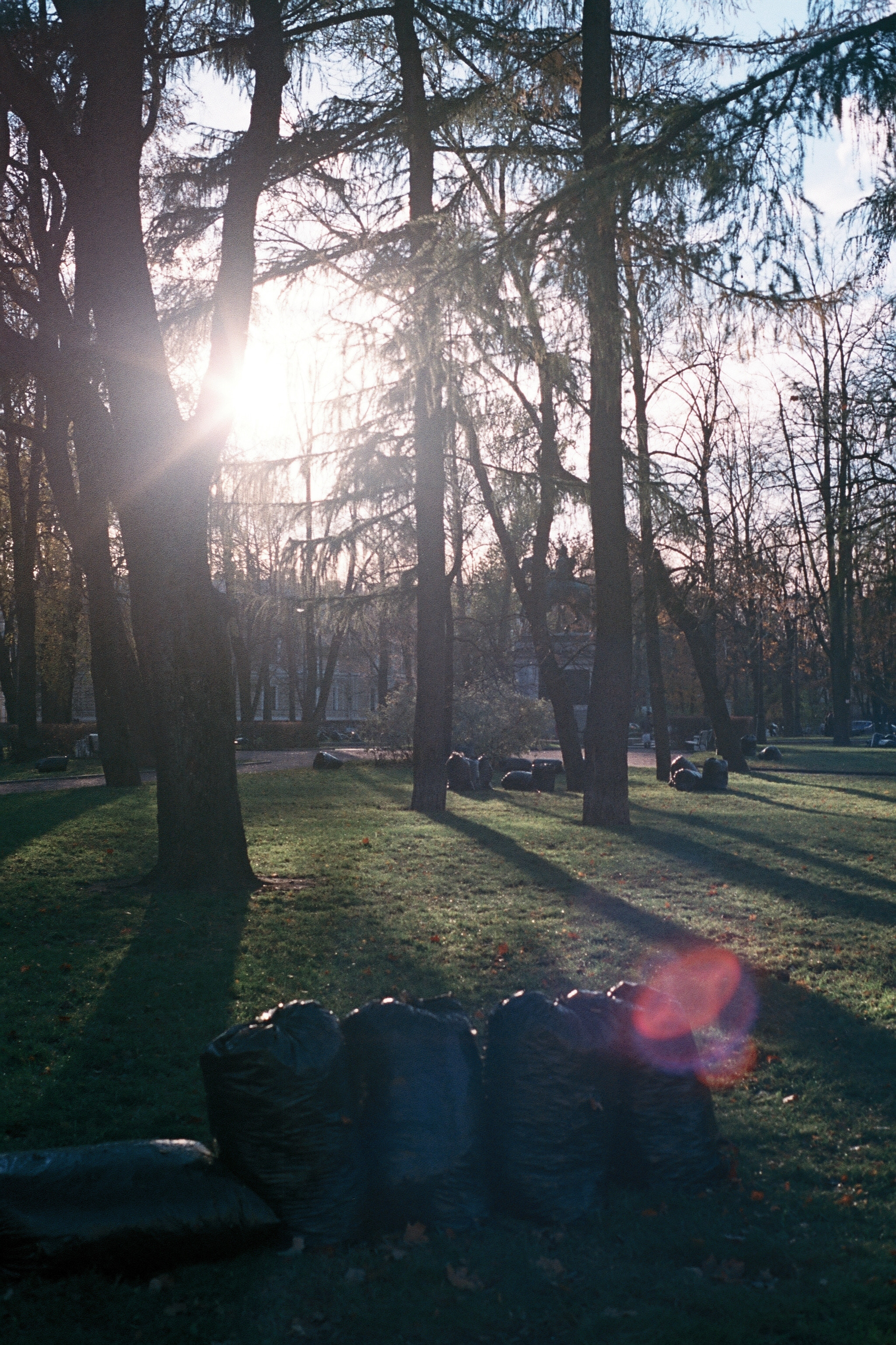 Silberra Color 100. Natalia Carney — Photographer, Model, Blogger