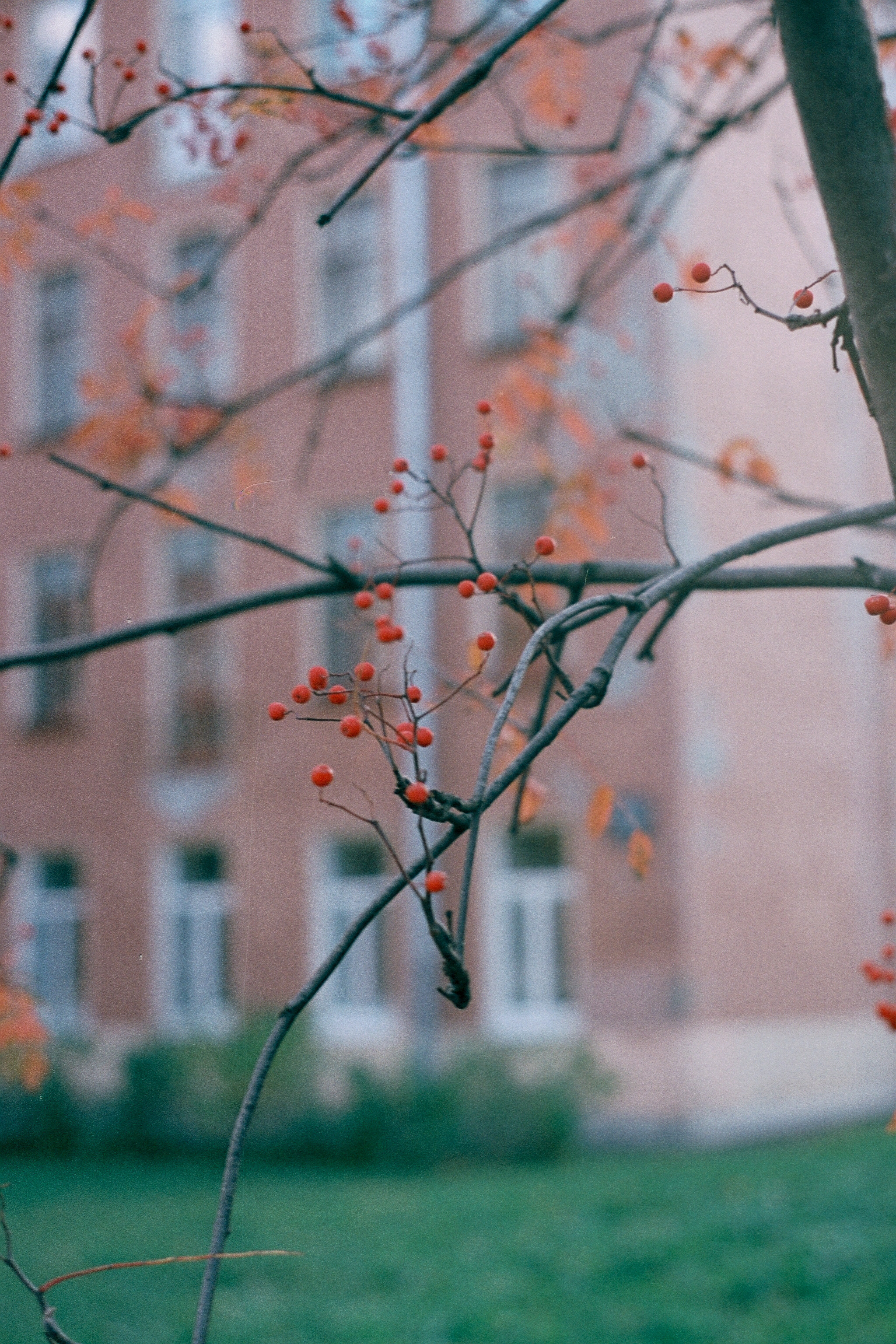 Silberra Color 100. Natalia Carney — Photographer, Model, Blogger