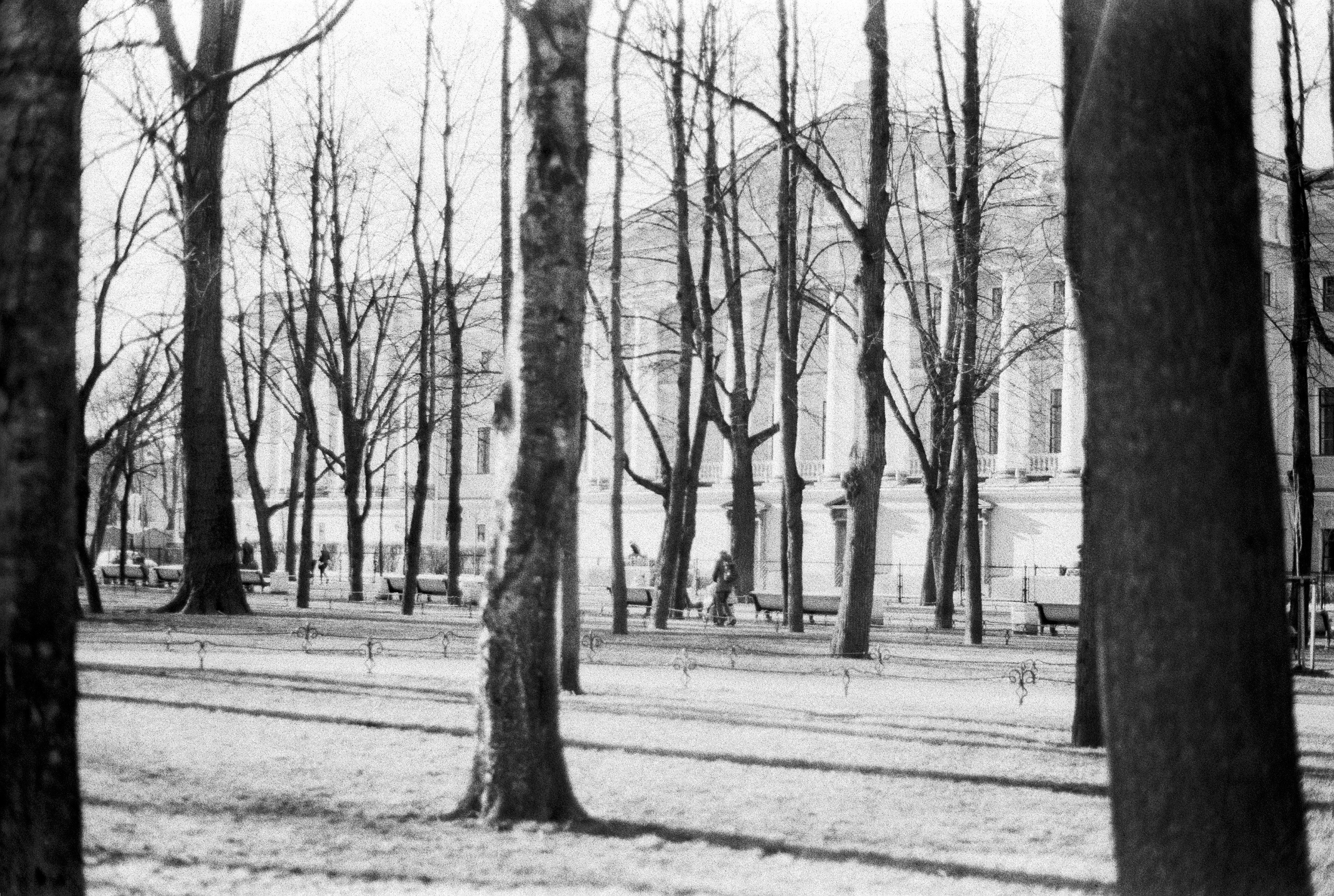 Silberra Pan 160. Natalia Carney — Photographer, Model, Blogger