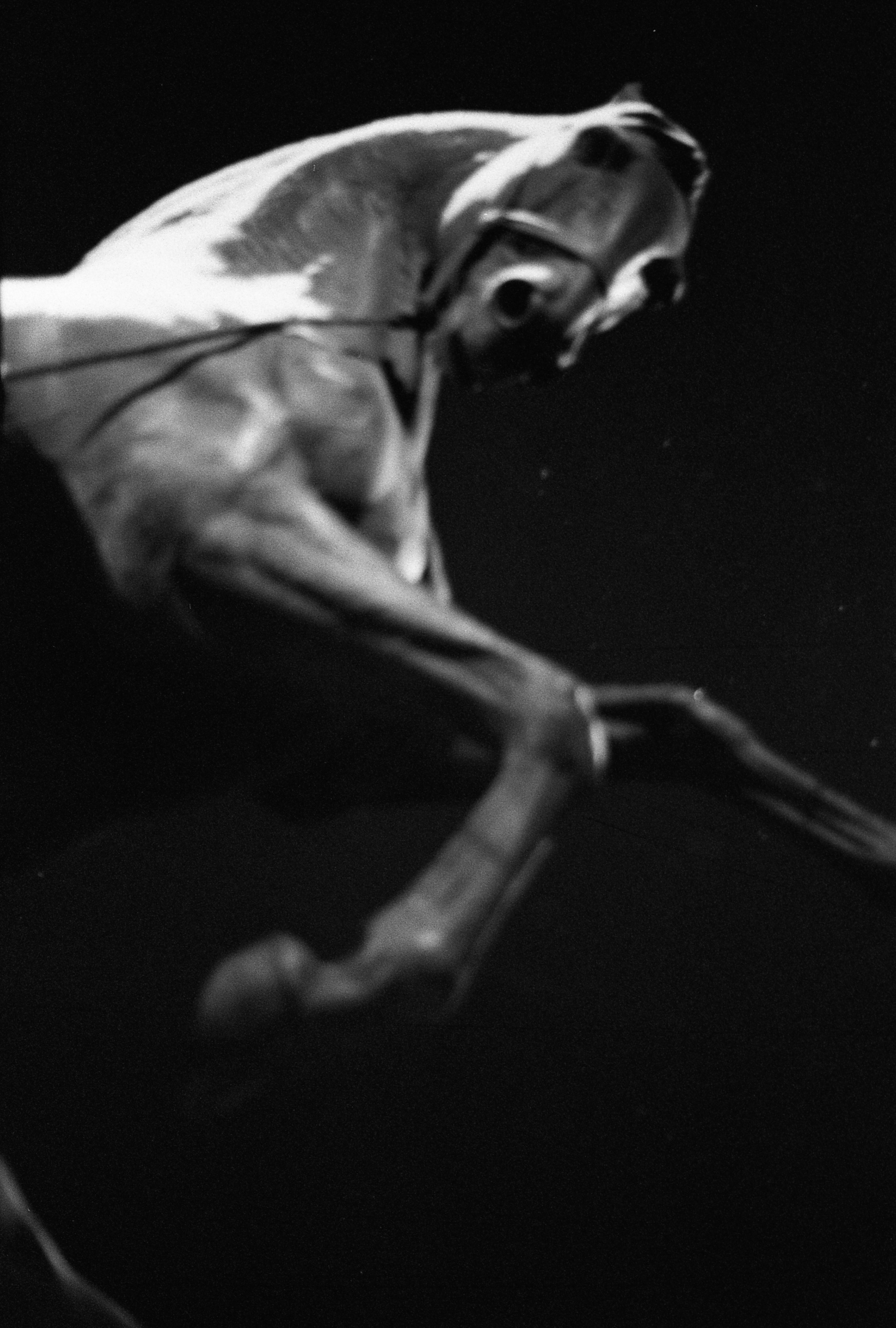 Silberra U400. Natalia Carney — Photographer, Model, Blogger