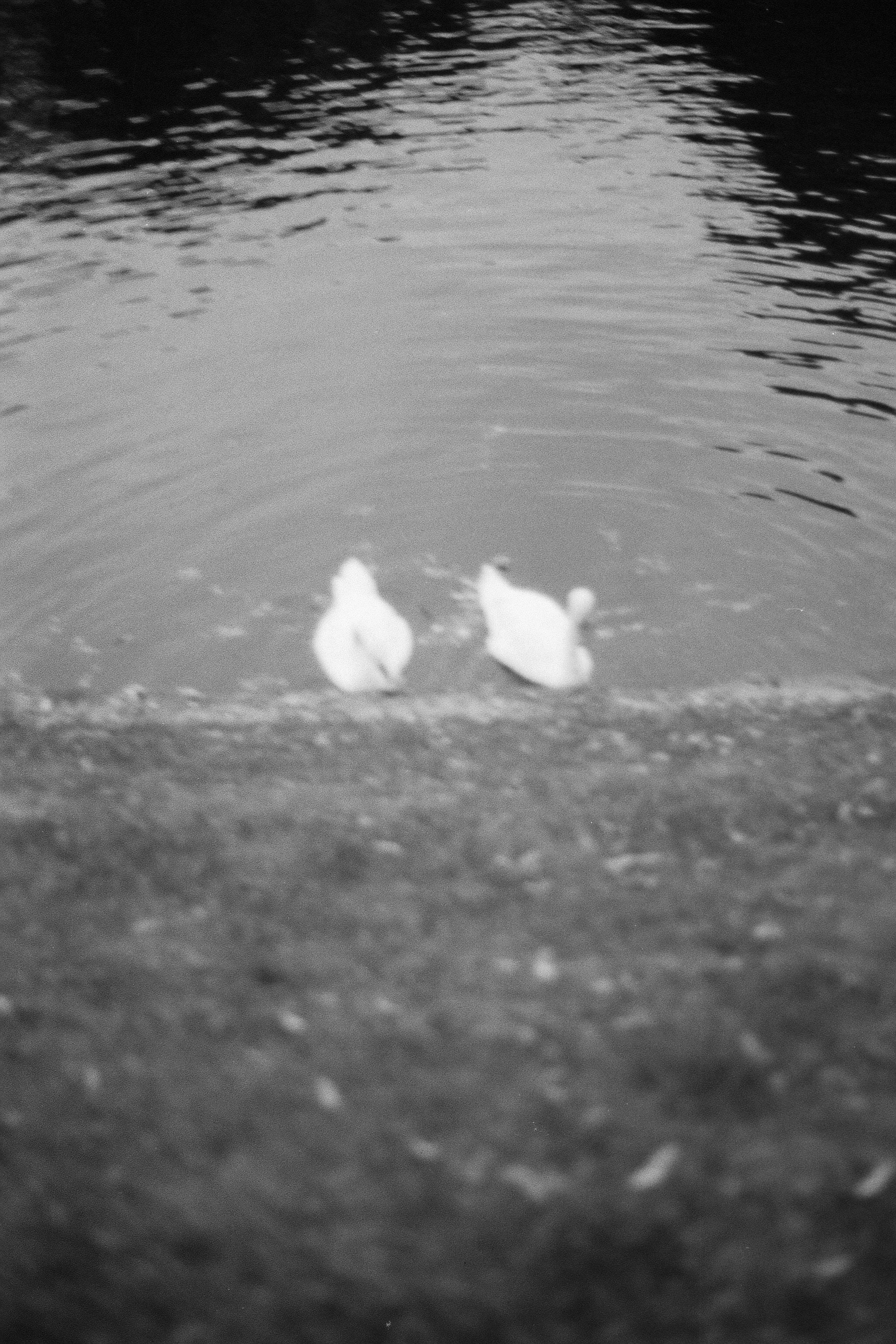 Silberra P400. Natalia Carney — Photographer, Model, Blogger