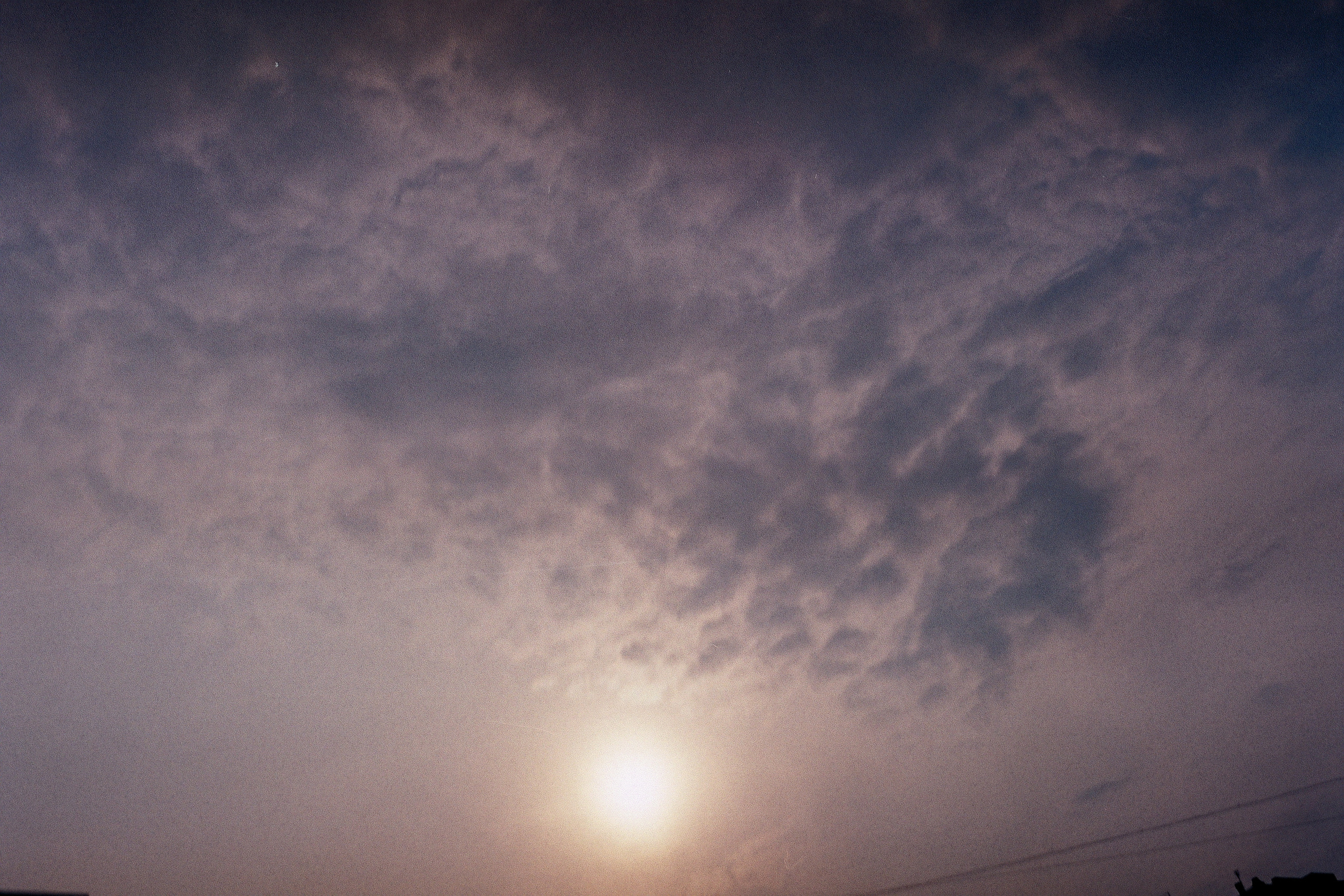 Silberra Color 50. Natalia Carney — Photographer, Model, Blogger