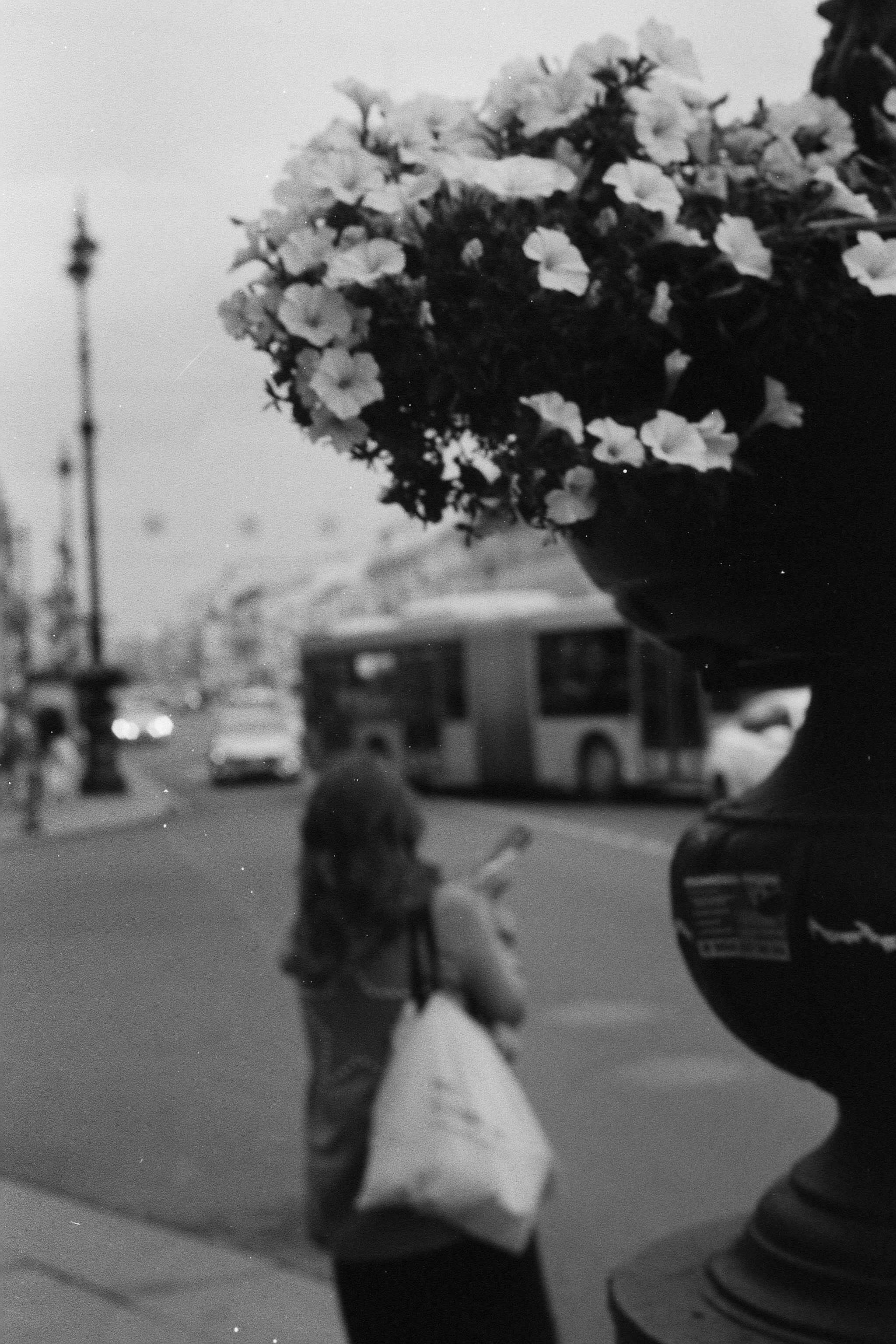 Silberra P400. Natalia Carney — Photographer, Model, Blogger