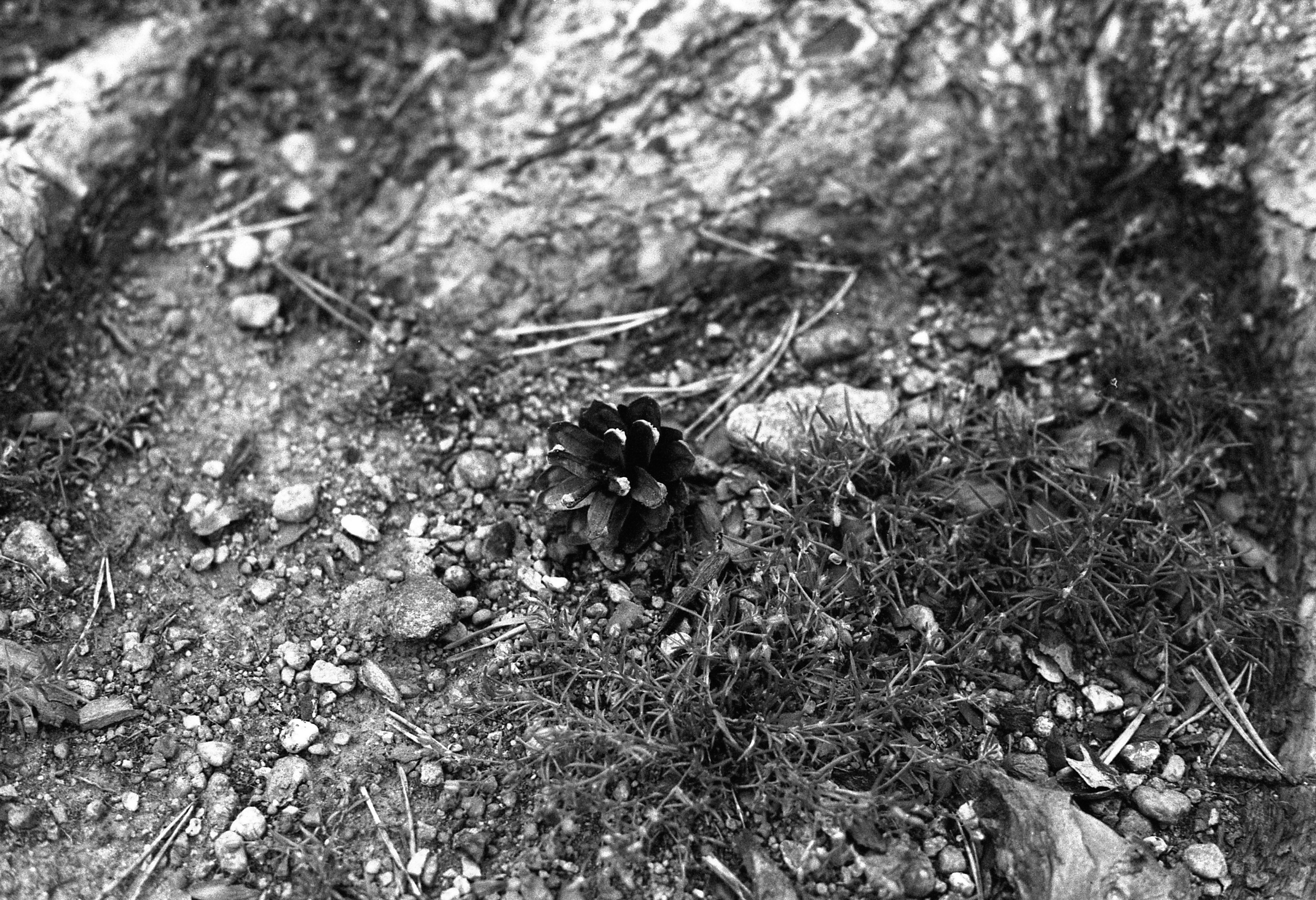 Silberra Ultima 160. Natalia Carney — Photographer, Model, Blogger