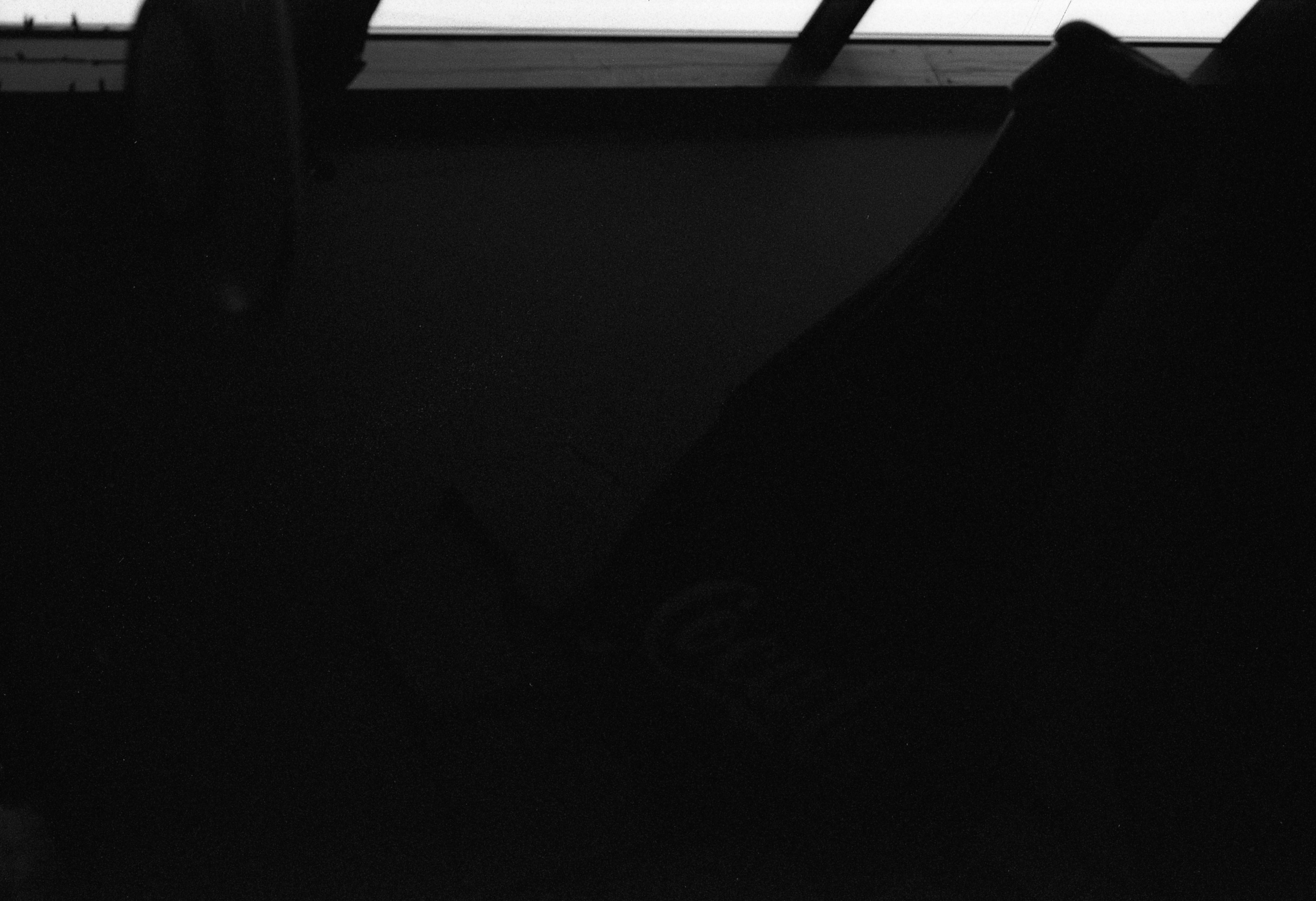 Silberra Ultima 160. Natalia Carney — Photographer, Model, Blogger